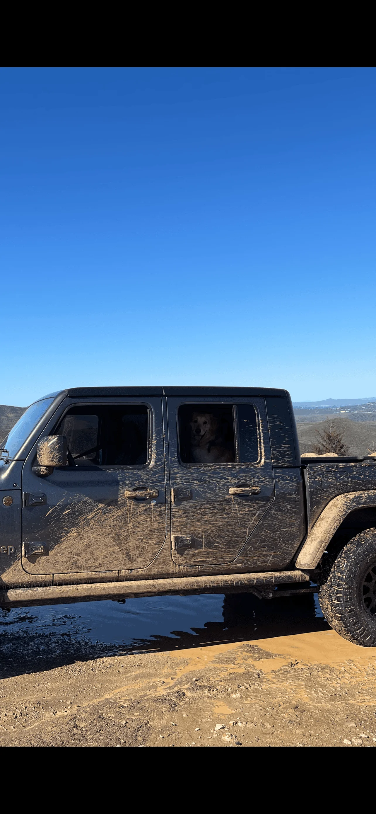 Jeep Gladiator Glad(iator) Dogs! Let's see 'em! BB0E51E1-A478-4890-9378-781BD6441838