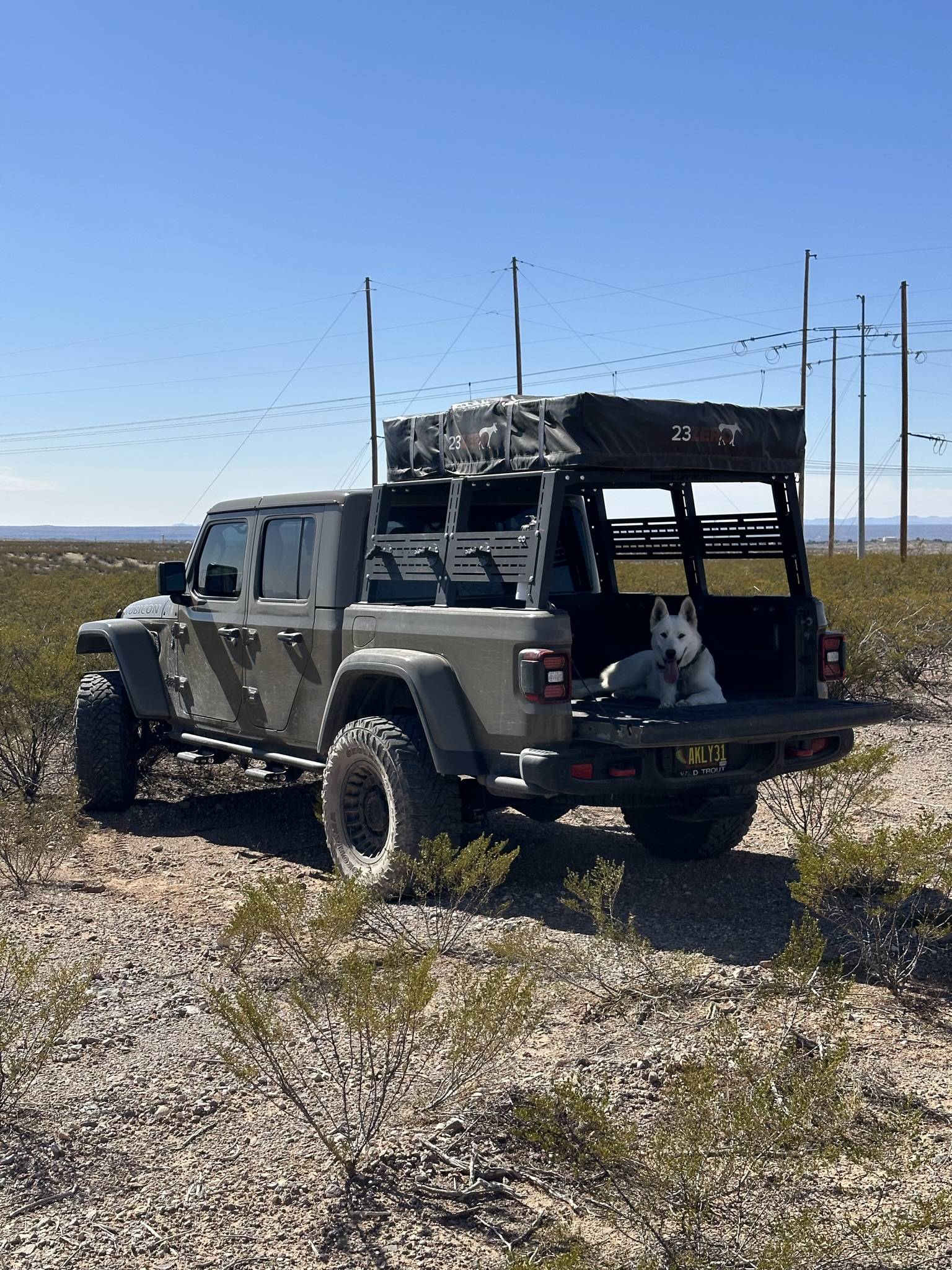 Jeep Gladiator Glad(iator) Dogs! Let's see 'em! C58B1263-9622-4297-B1B7-FA6466AC9289