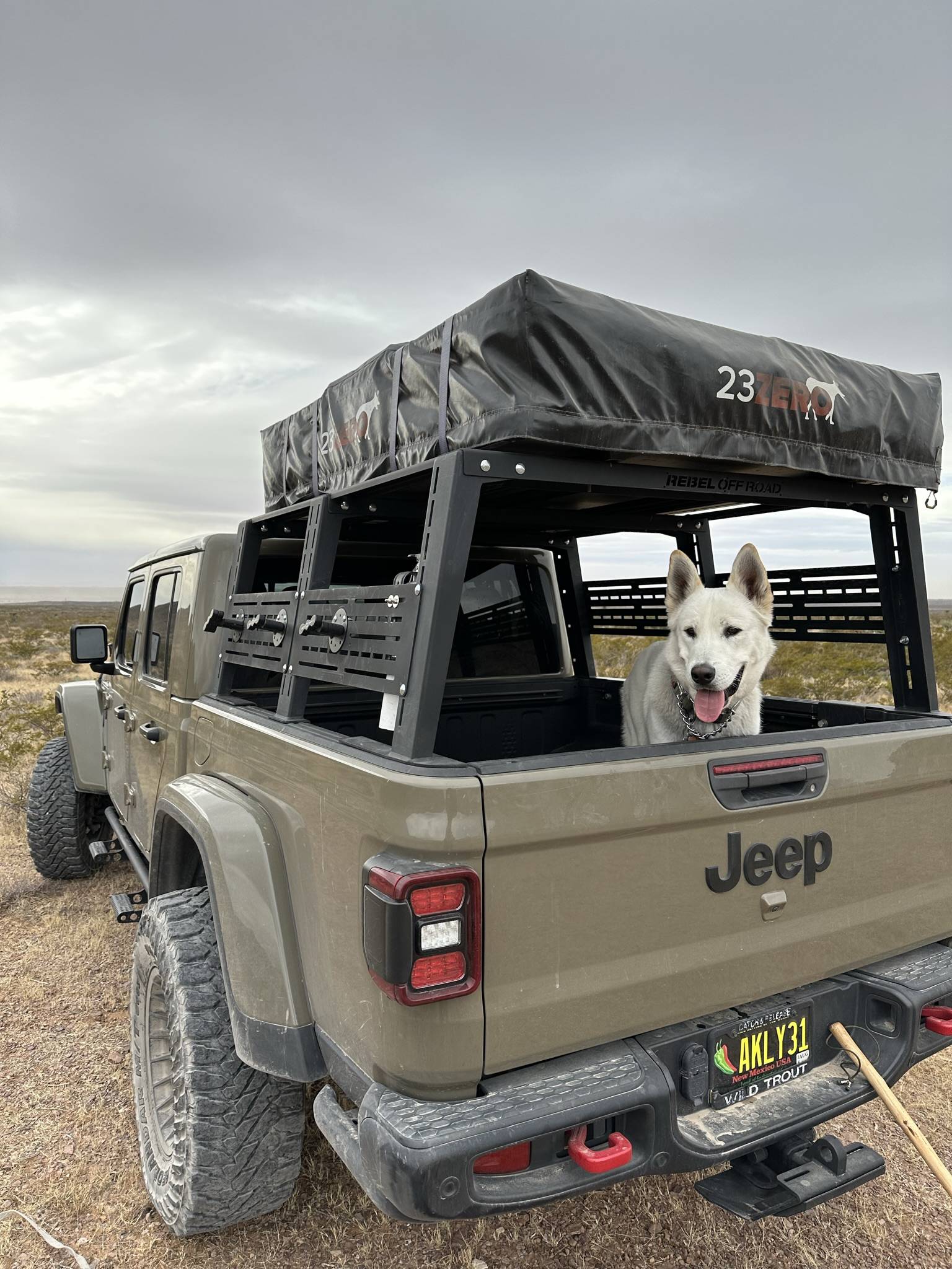 Jeep Gladiator Glad(iator) Dogs! Let's see 'em! D1E44BB2-2A16-48EB-AB5E-129A89E8950D