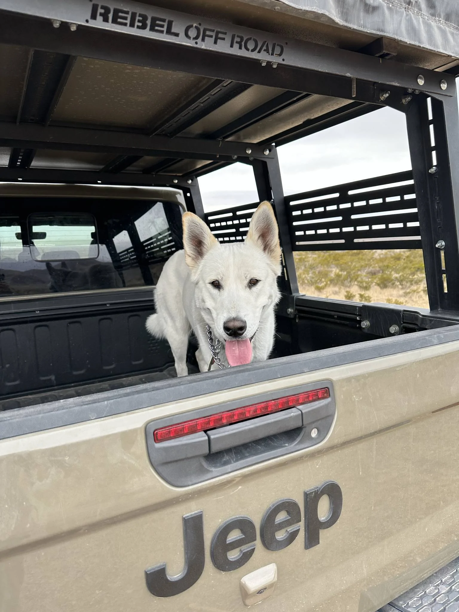 Jeep Gladiator Glad(iator) Dogs! Let's see 'em! F6DF8D98-2D5D-4D9A-93BE-29E2E44FF70E