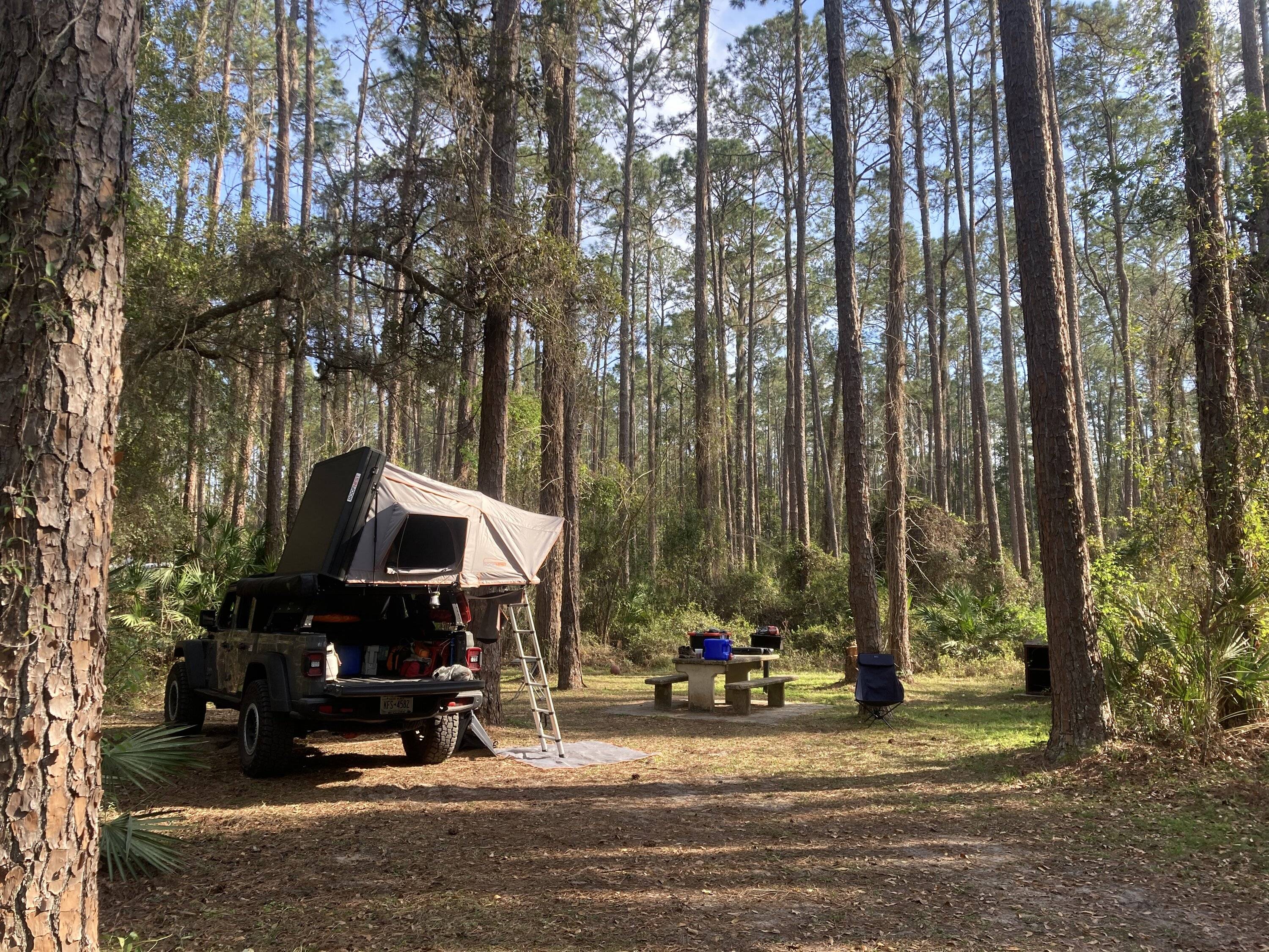 Jeep Gladiator Ocala BOH trail Saturday? (02/25) 8D1C1C36-1728-4B03-B424-30DF80A06FDE