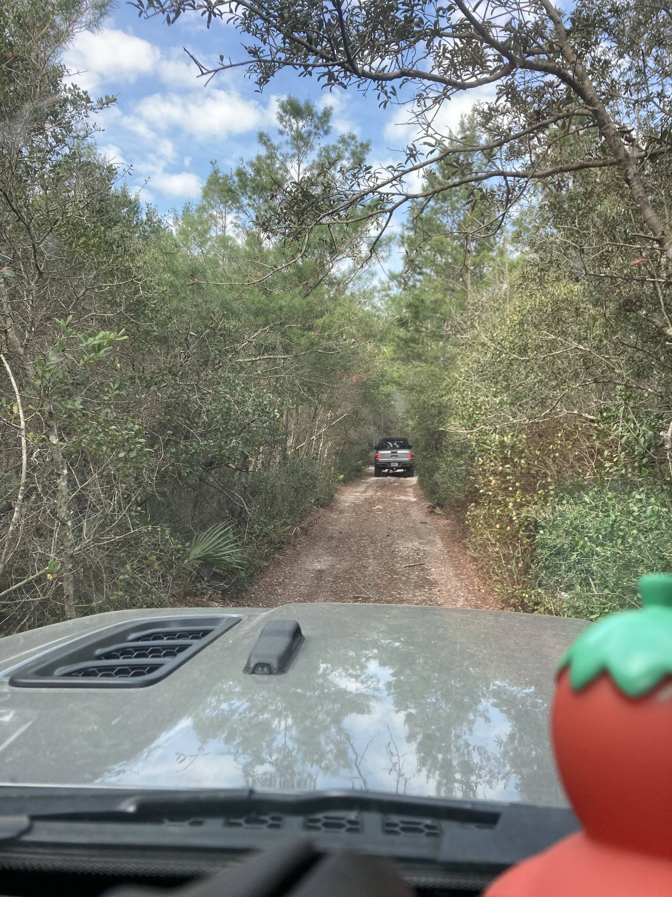Jeep Gladiator Ocala BOH trail Saturday? (02/25) 98F9B654-D809-4450-9162-685F46C10BFC