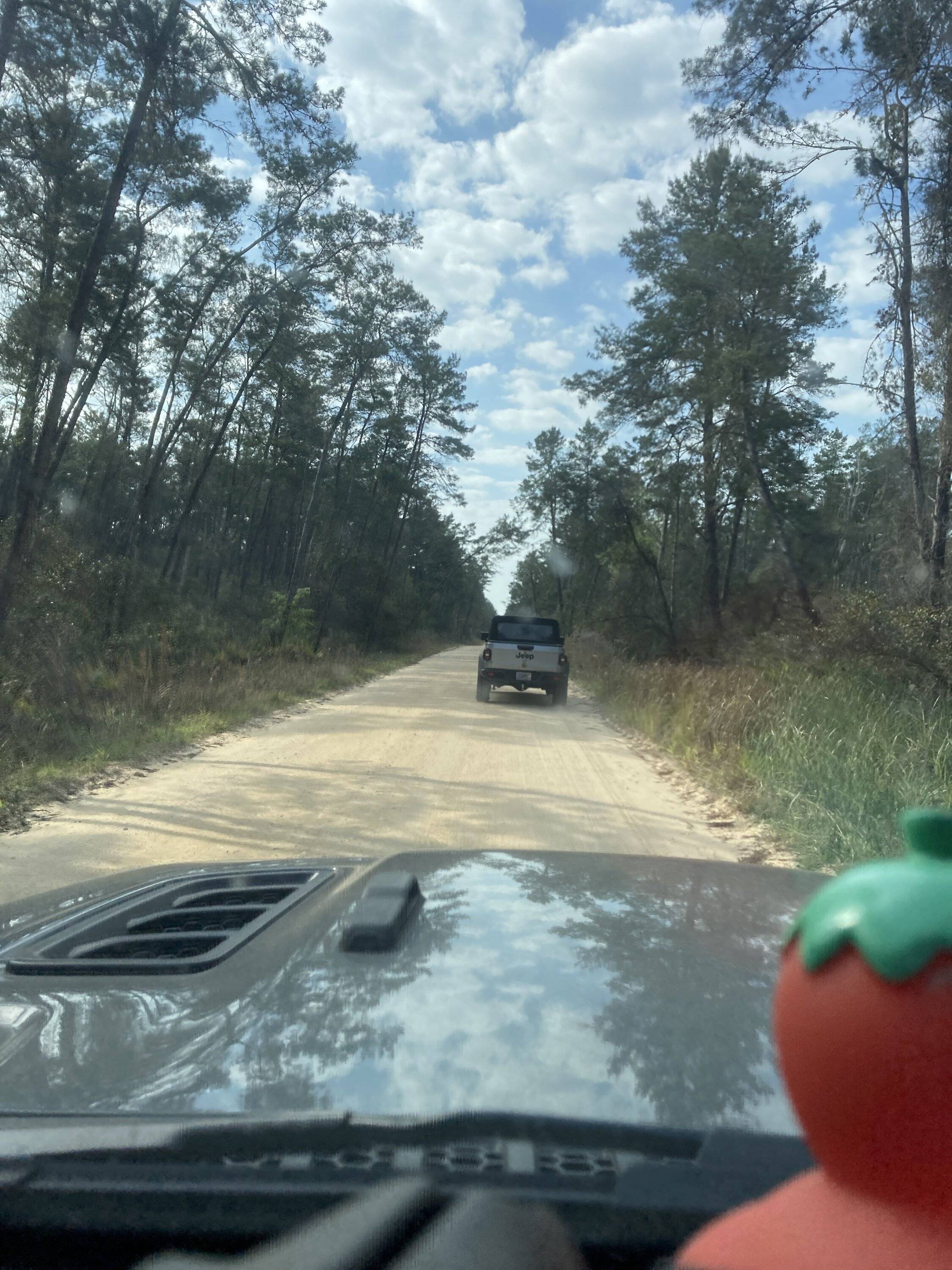 Jeep Gladiator Ocala BOH trail Saturday? (02/25) CA53A352-3890-443E-9D71-5EB509262941