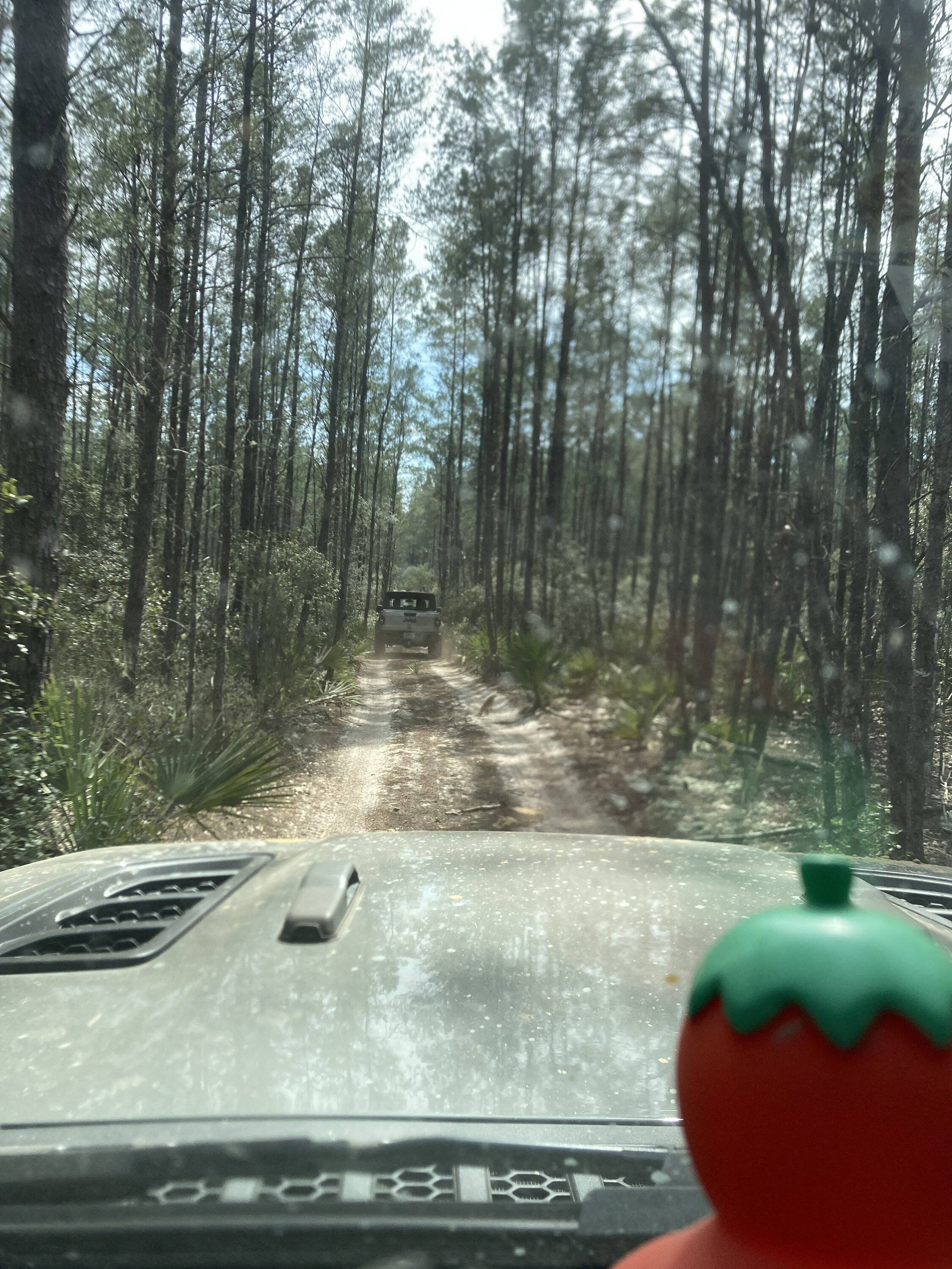 Jeep Gladiator Ocala BOH trail Saturday? (02/25) DEC02A20-CCB2-4C3B-9938-91F6BF1B40D8