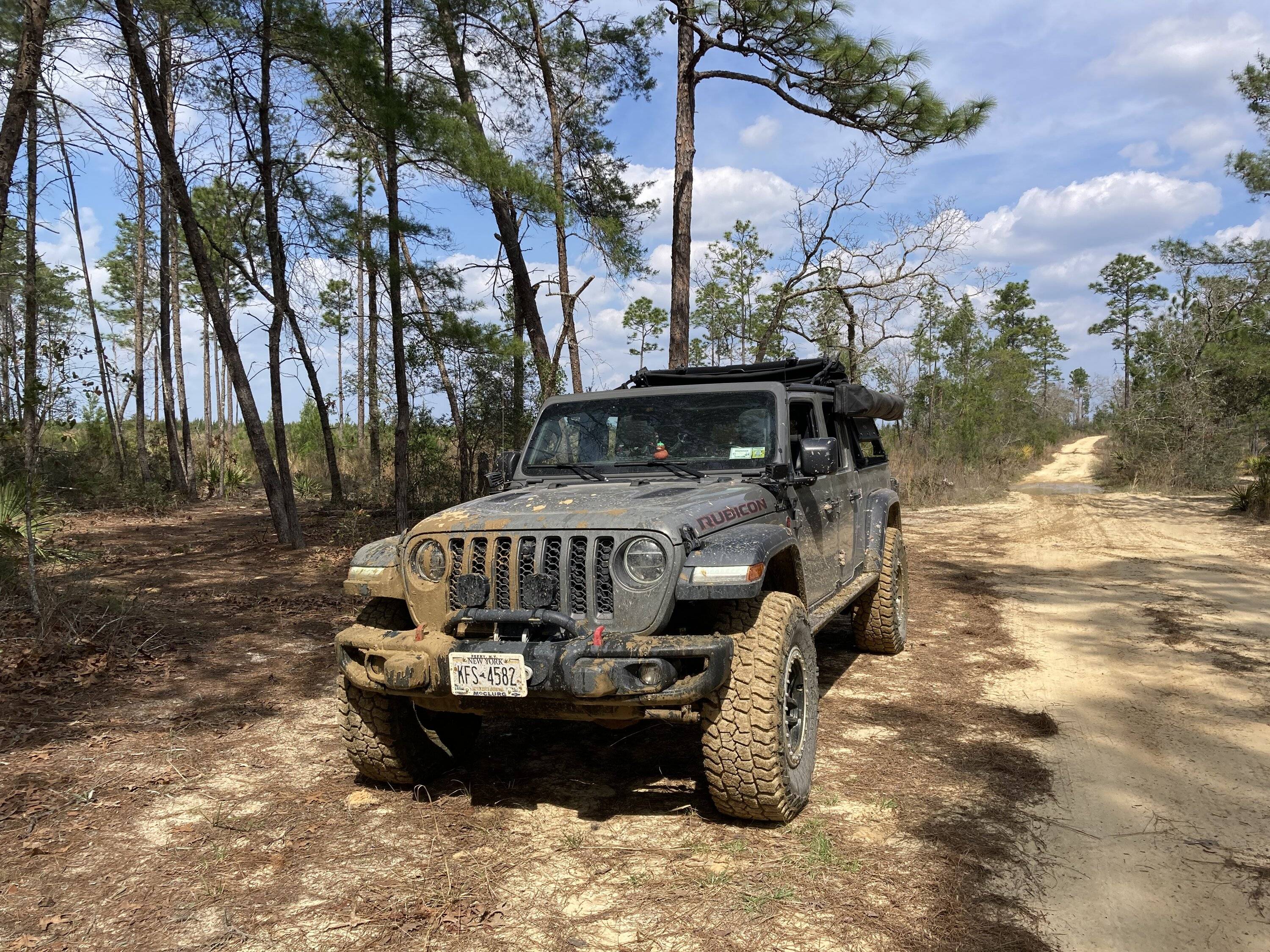 Jeep Gladiator Ocala BOH trail Saturday? (02/25) CA091BD5-A394-4EE5-8F80-4774FAE733FA