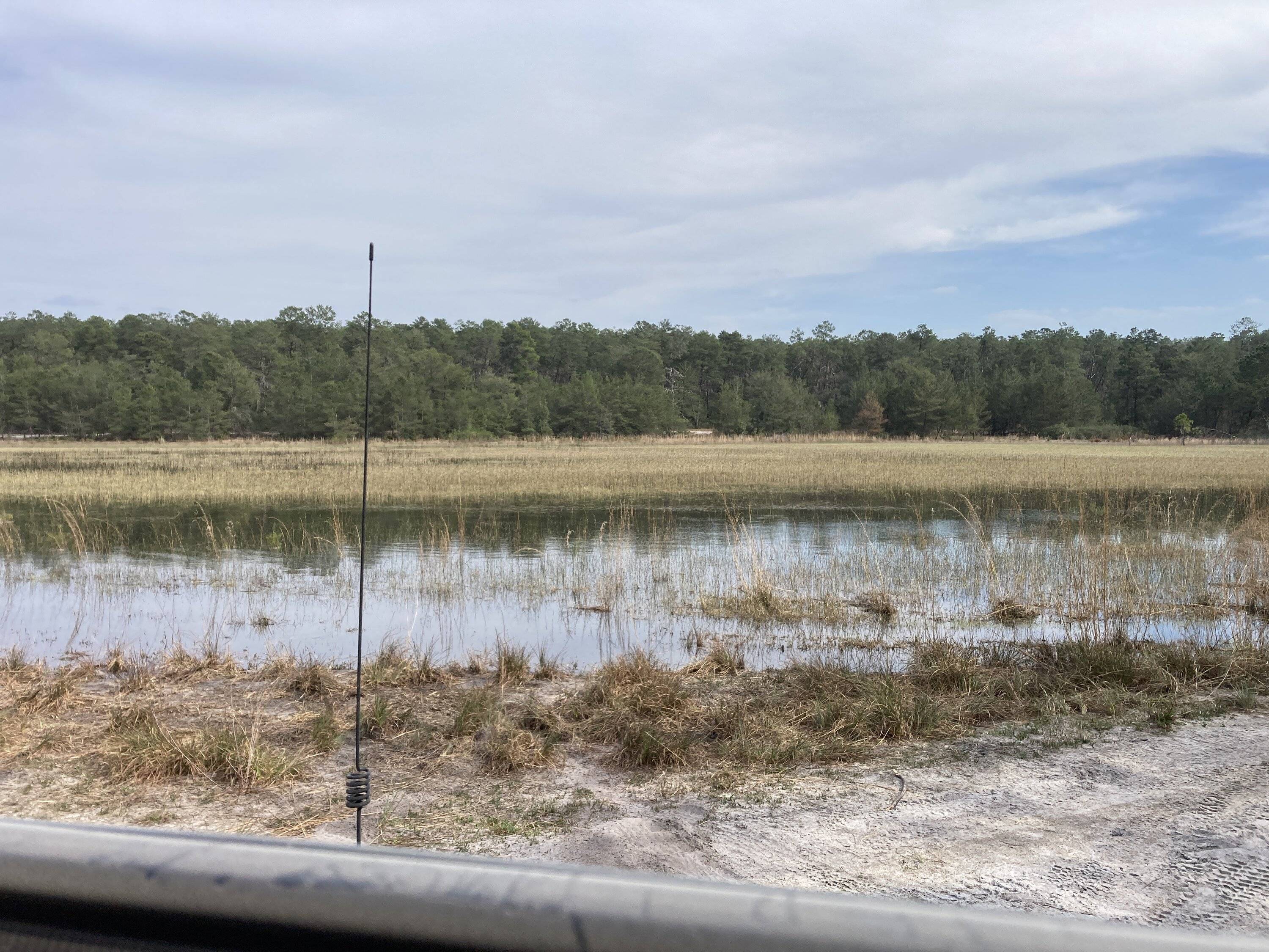 Jeep Gladiator Ocala BOH trail Saturday? (02/25) 7A83088E-CCCA-4BFD-B65E-41C82265B91C
