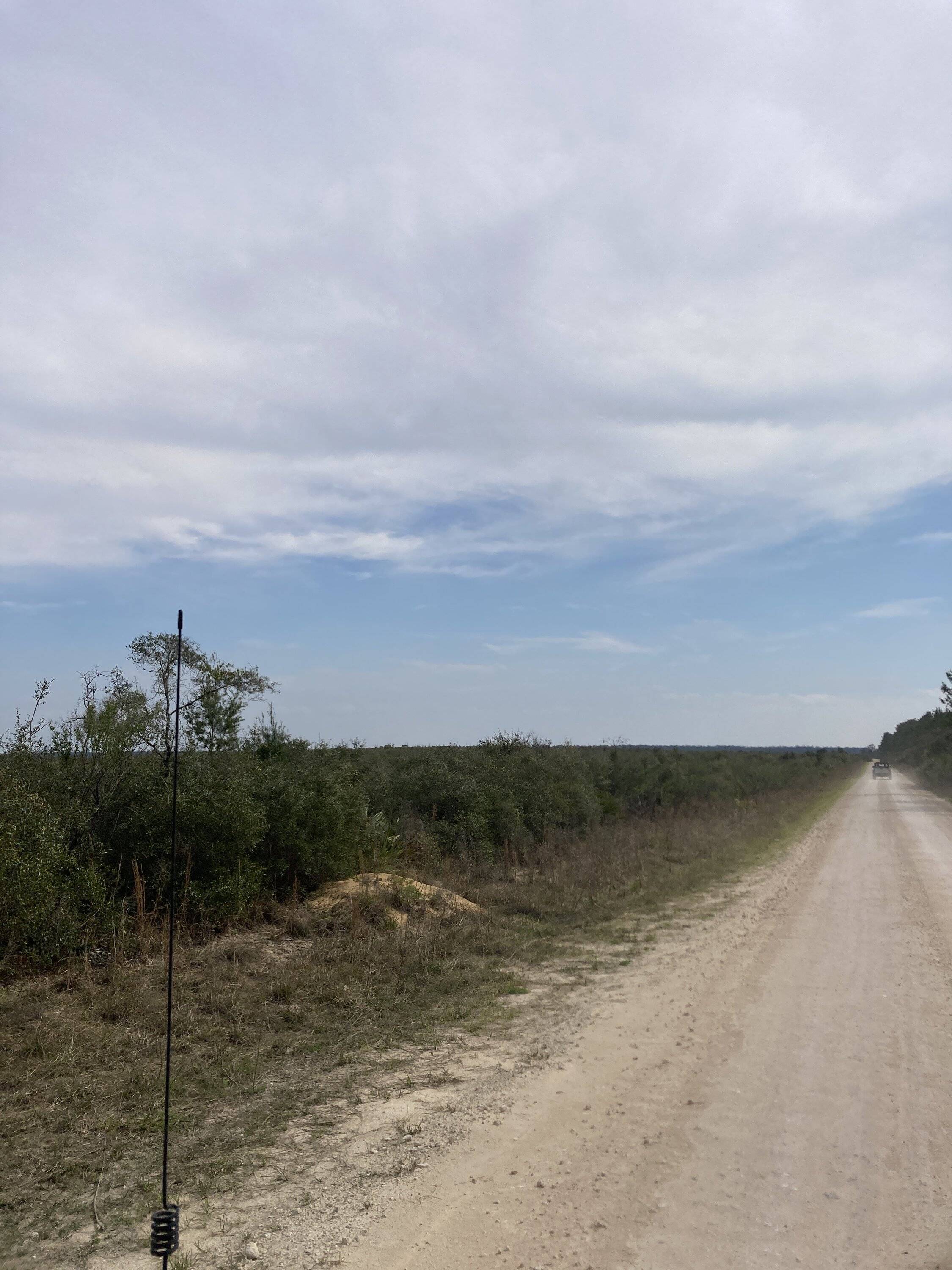 Jeep Gladiator Ocala BOH trail Saturday? (02/25) FB4CAE9F-72ED-4BE5-81F9-8662D1DAB77D