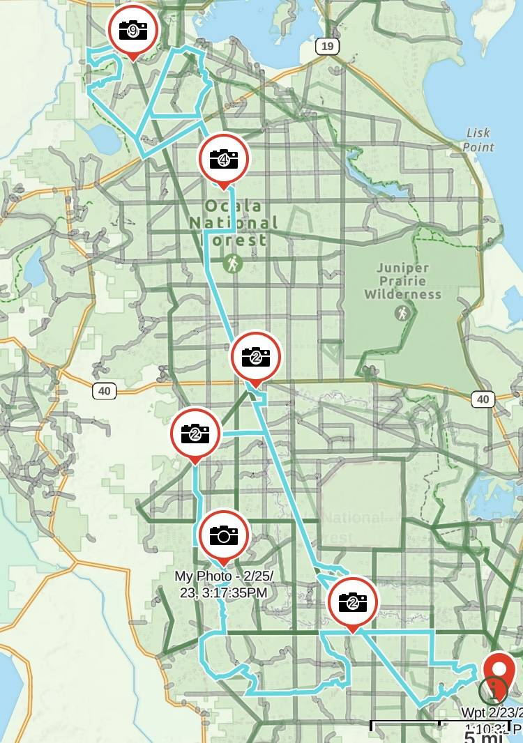 Jeep Gladiator Ocala BOH trail Saturday? (02/25) 7F34F4EE-B3C2-4AE8-A597-C3084E0011E4