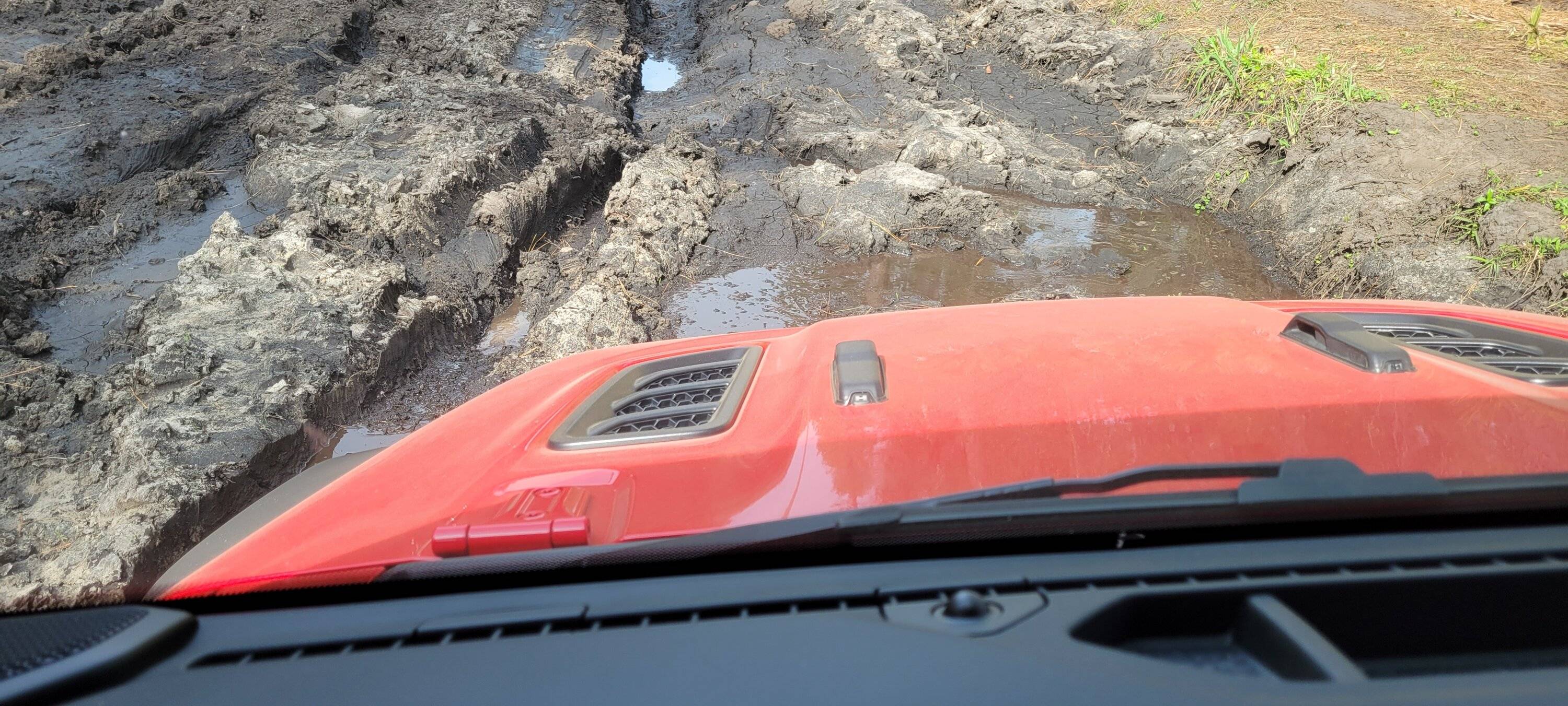Jeep Gladiator Ocala BOH trail Saturday? (02/25) 20230224_143953