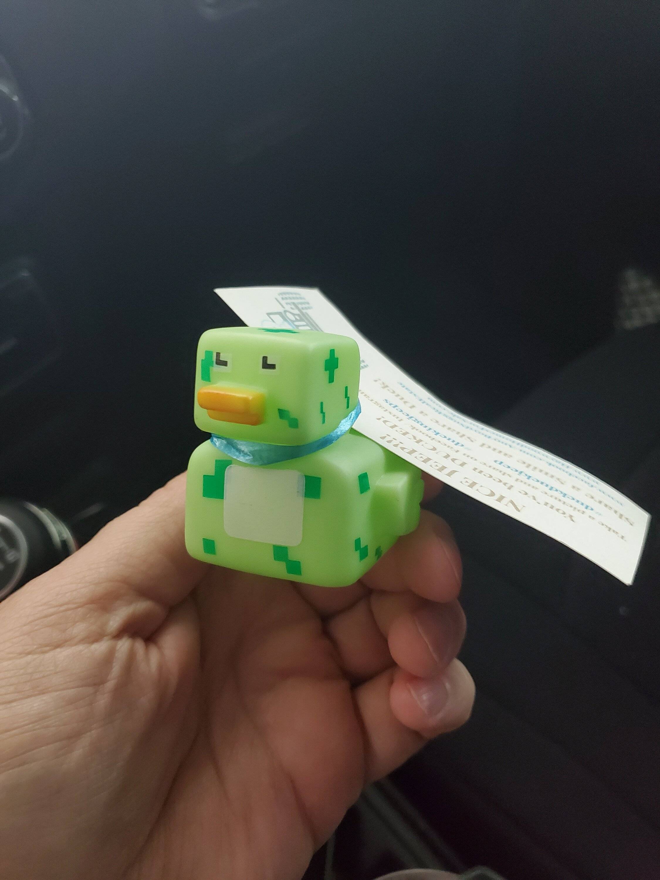 Jeep Gladiator Show me your DUCKS ! 20230302_155733