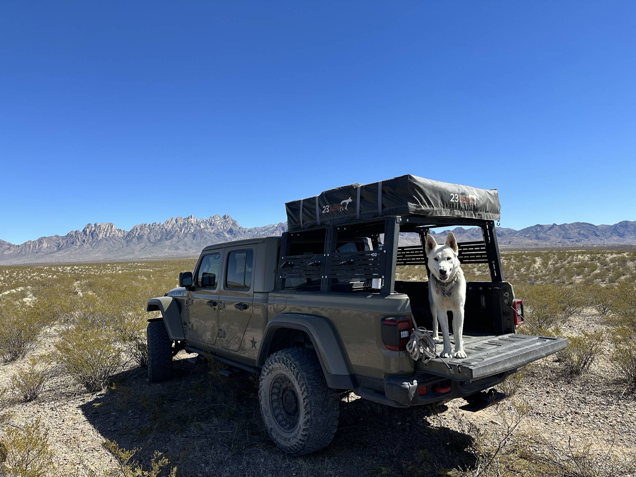 Jeep Gladiator Glad(iator) Dogs! Let's see 'em! 6130FC0A-75D3-4ADD-AE6F-8F93C1DCFC54