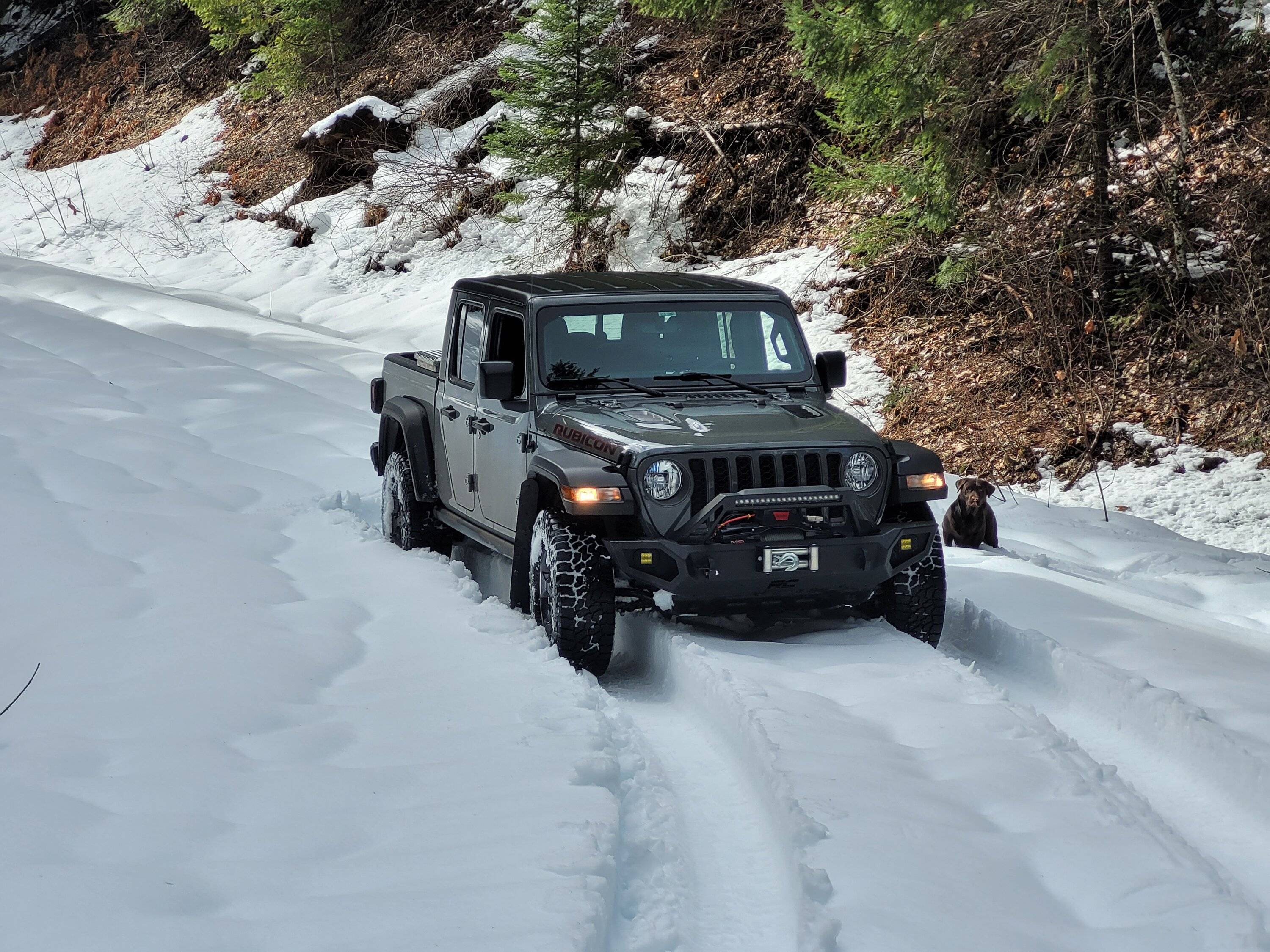 Jeep Gladiator I Love Winter... Post Your Snow Pics ❄️ ? 20230311_135038