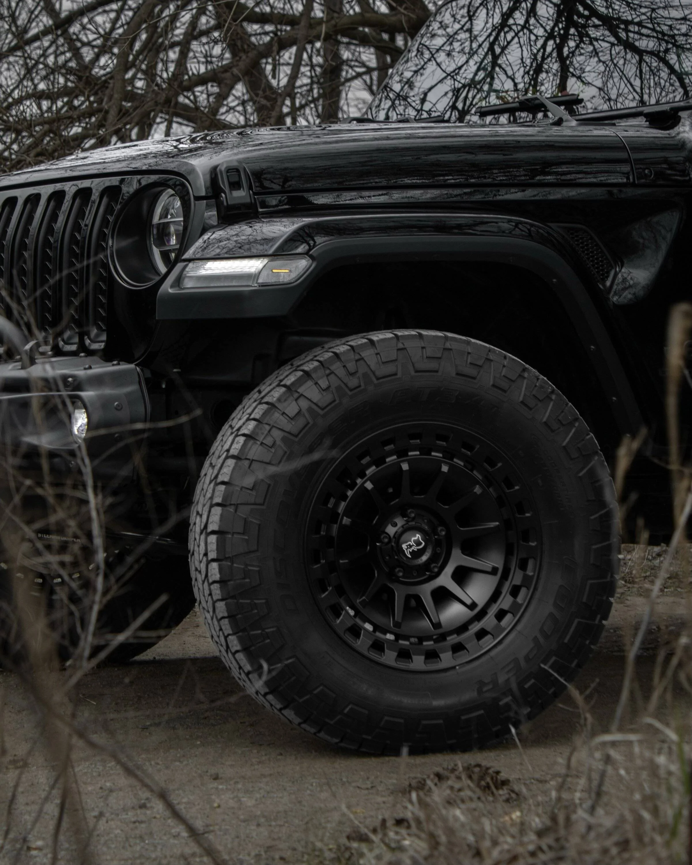 Jeep Gladiator SHOW ME YOUR WHEELS! 5BB8C635-E022-4D2C-BA92-6A8913903ECB