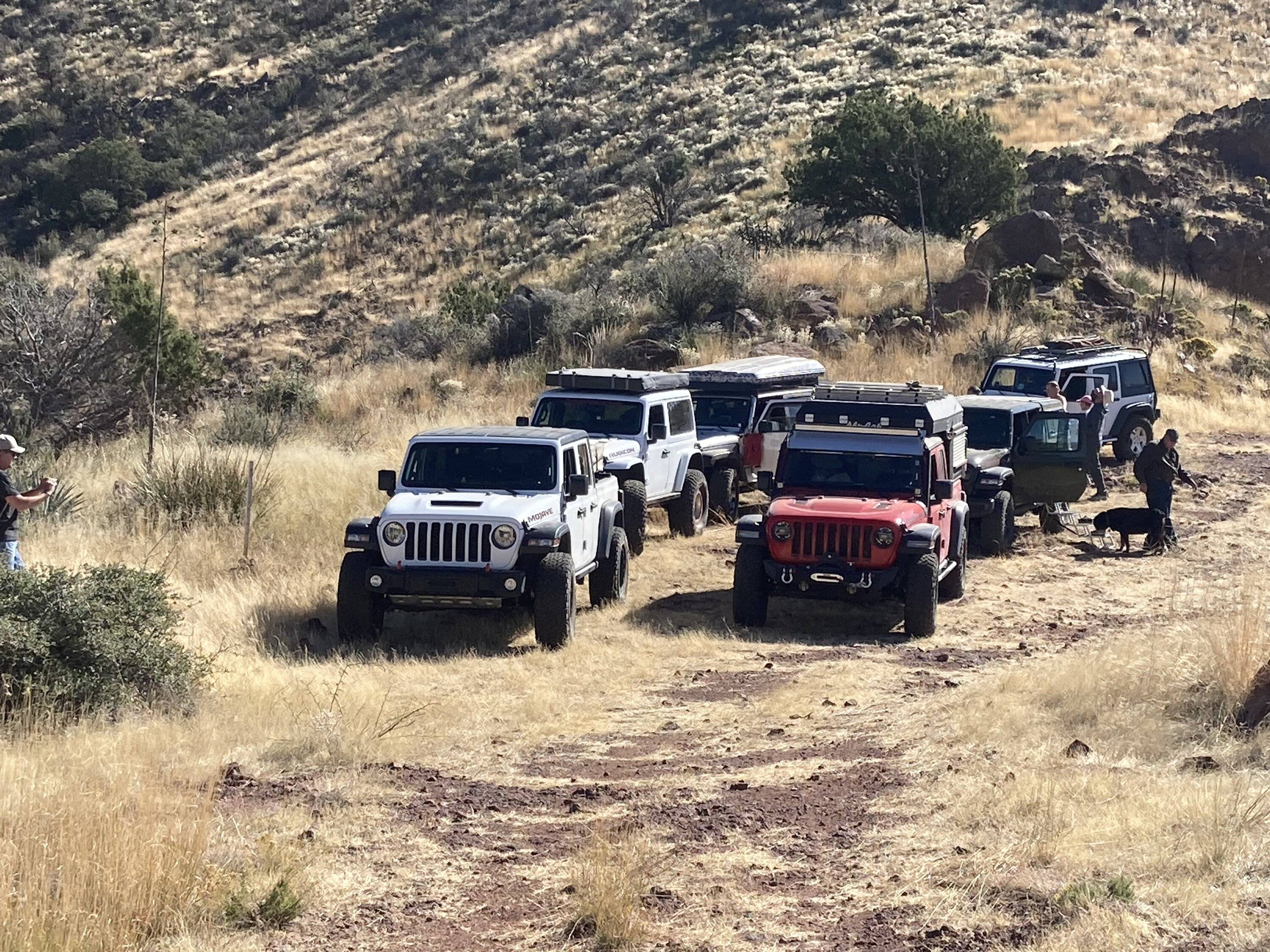 Jeep Gladiator X DE1C0440-E623-4544-B47A-5A808AD52CDF