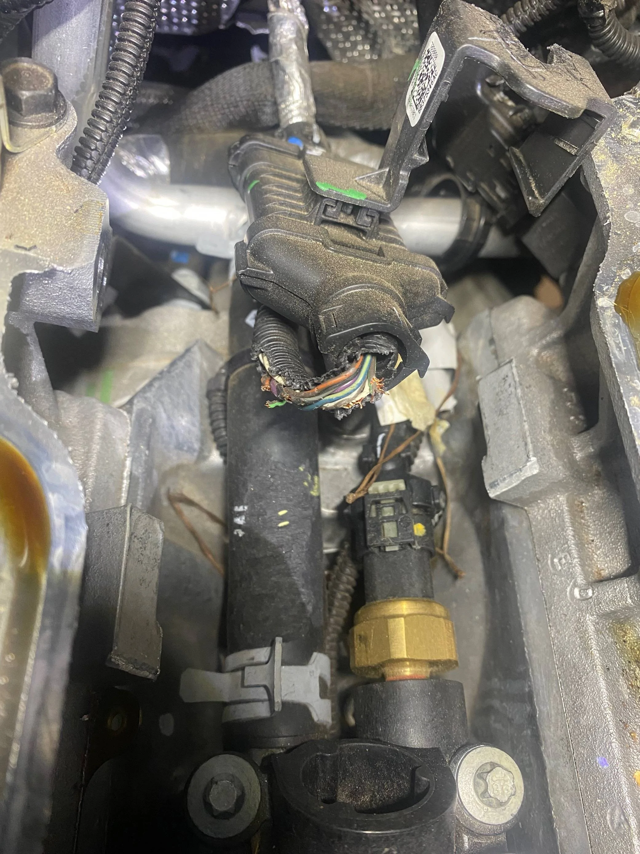 Jeep Gladiator Rodents... PSA RodentDamag