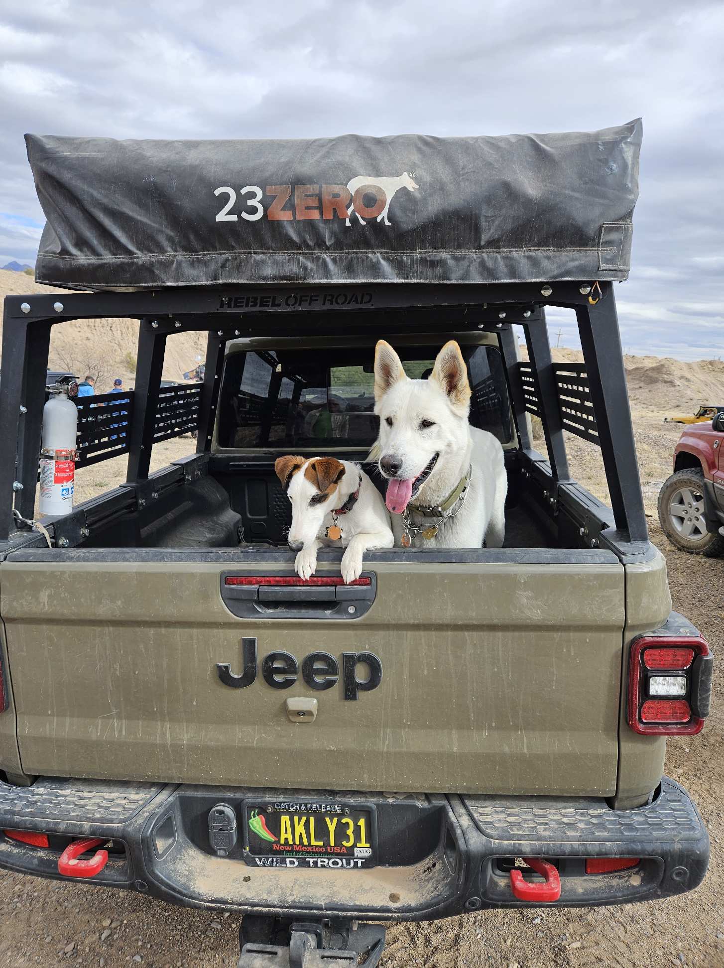 Jeep Gladiator Glad(iator) Dogs! Let's see 'em! CC7AE9AB-3C39-40D5-8A8A-E2C1986BF2C8
