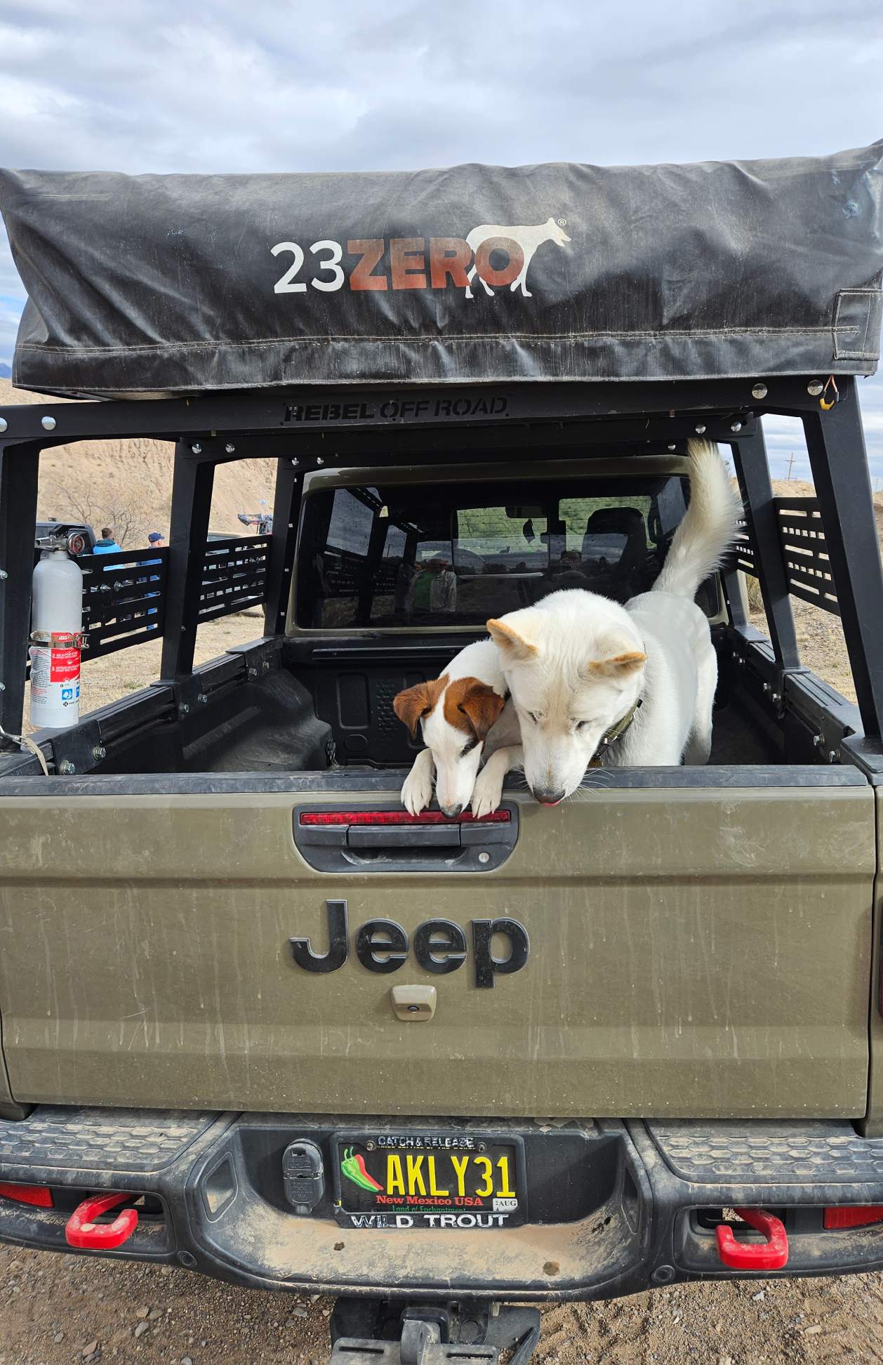 Jeep Gladiator Glad(iator) Dogs! Let's see 'em! 9EFD9DEE-3630-4973-8F84-F6174C8152B1