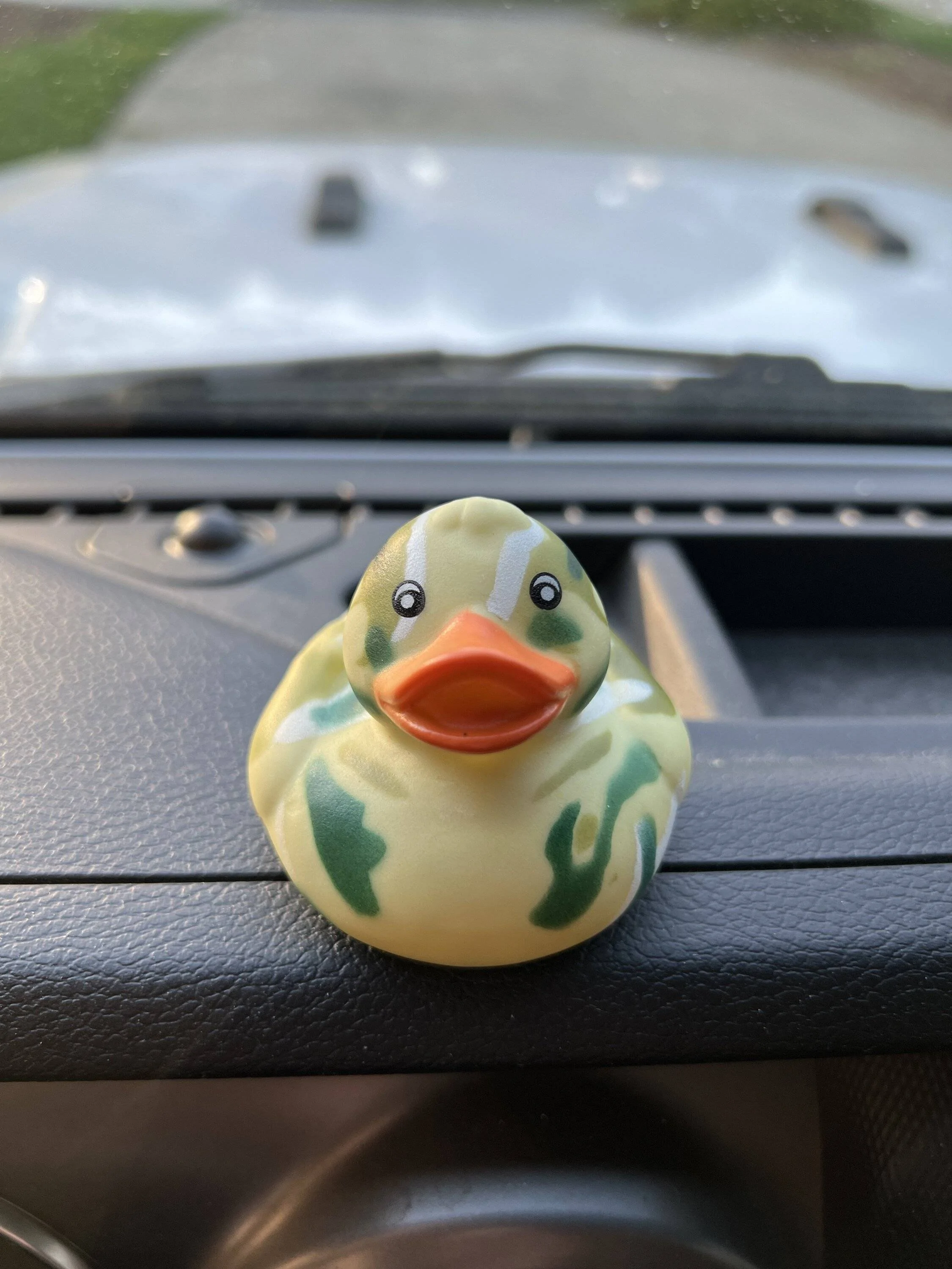 Jeep Gladiator First time ducked in two decades of driving Jeeps! Made my day!!!!! firstDuck