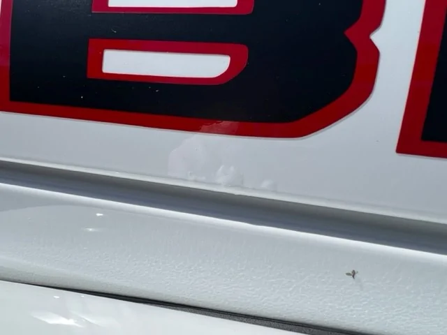 Jeep Gladiator 2020 Rubicon - Paint Bubbling on Hood! JeepPaint1