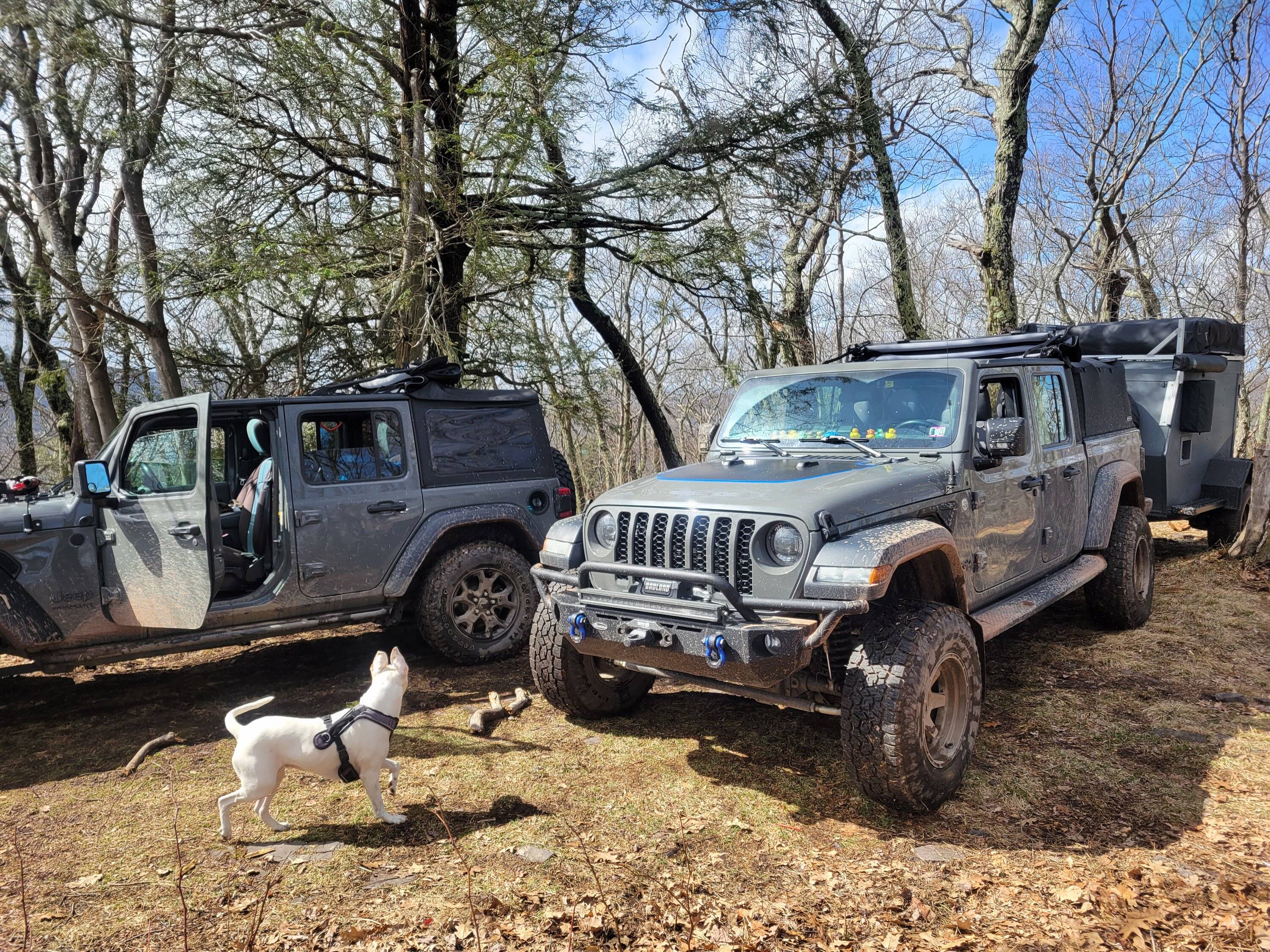 Jeep Gladiator Virginia Overlanding Questions 20230325_150455