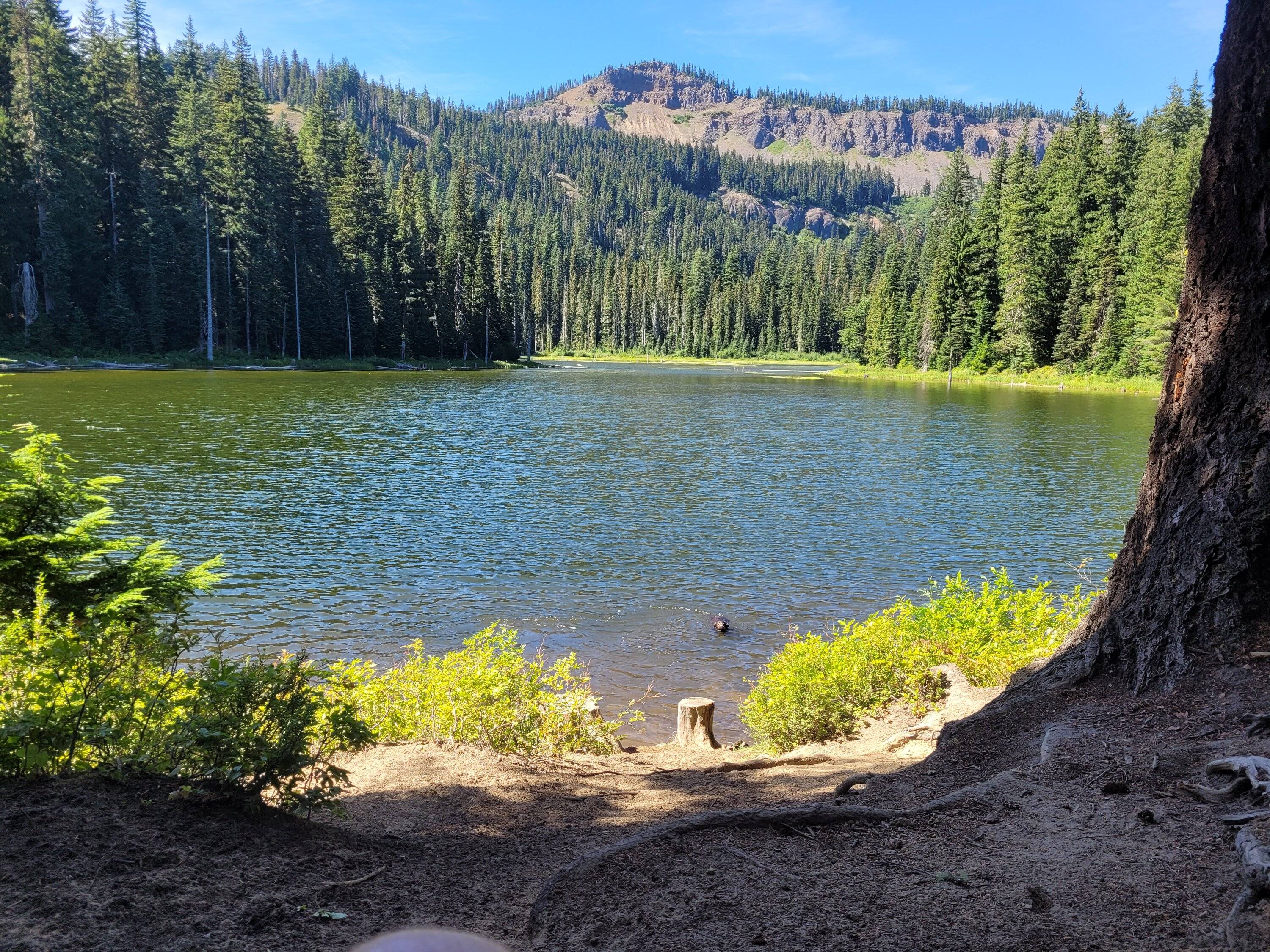 Jeep Gladiator Gladiator Welcome Camping Spots -- For and From Site Members 20220821_145021