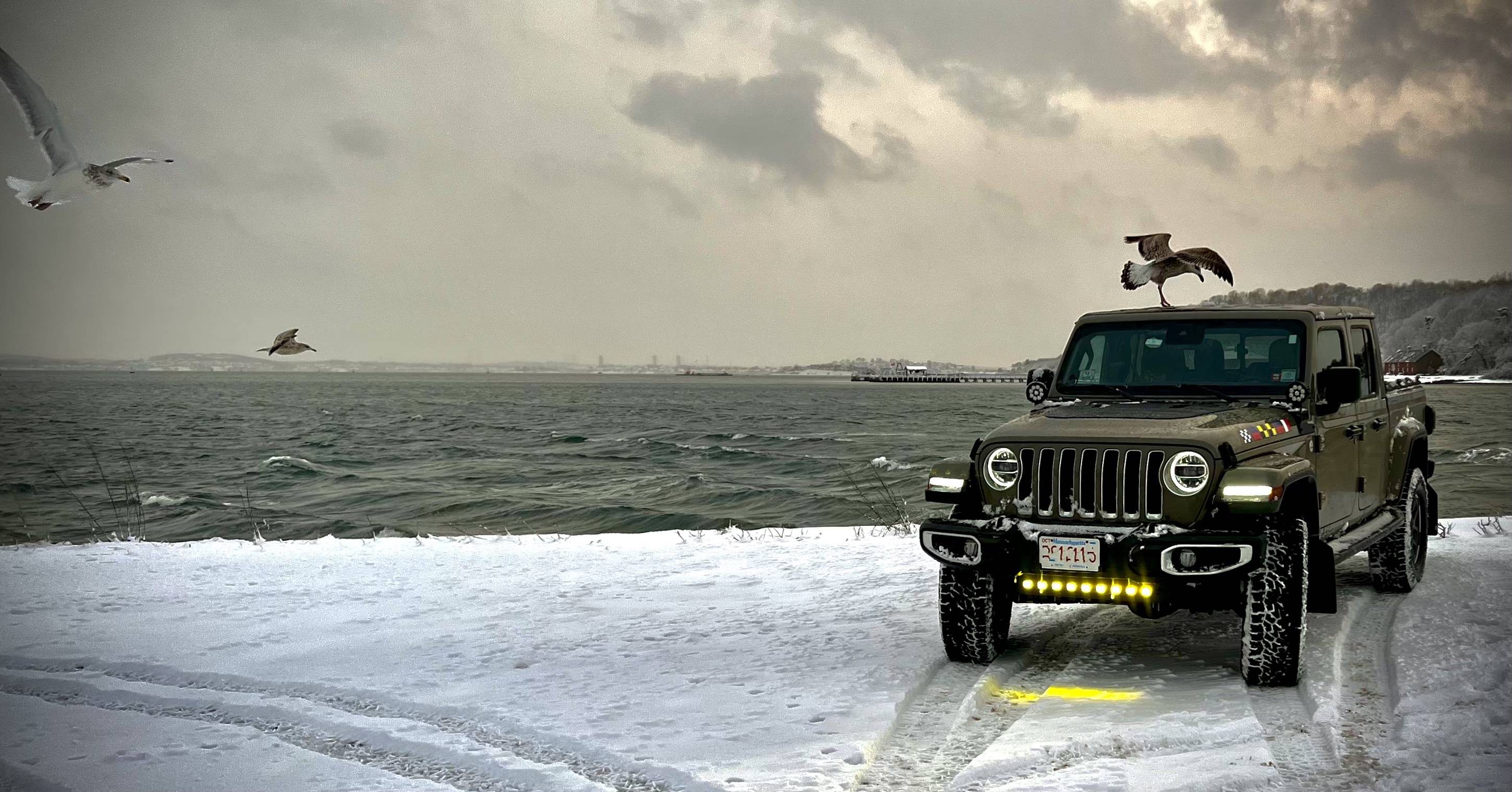 Jeep Gladiator Does the OEM LED lights get hot enough to melt snow? E0033B9C-77A6-43CC-9A05-6ED365596C93