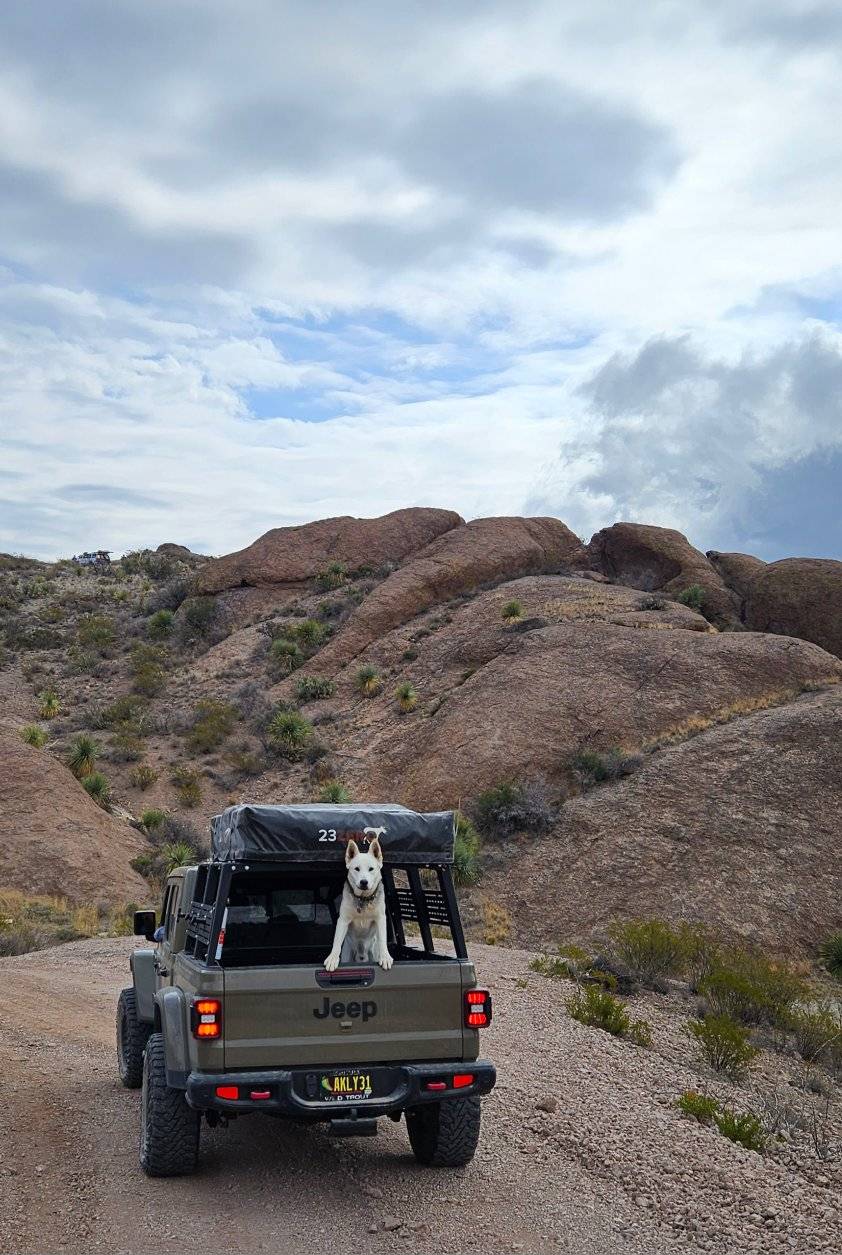 Jeep Gladiator 11:51 What do you love about it? A4540E33-CBDB-498B-9CAA-6DC15670BAAE