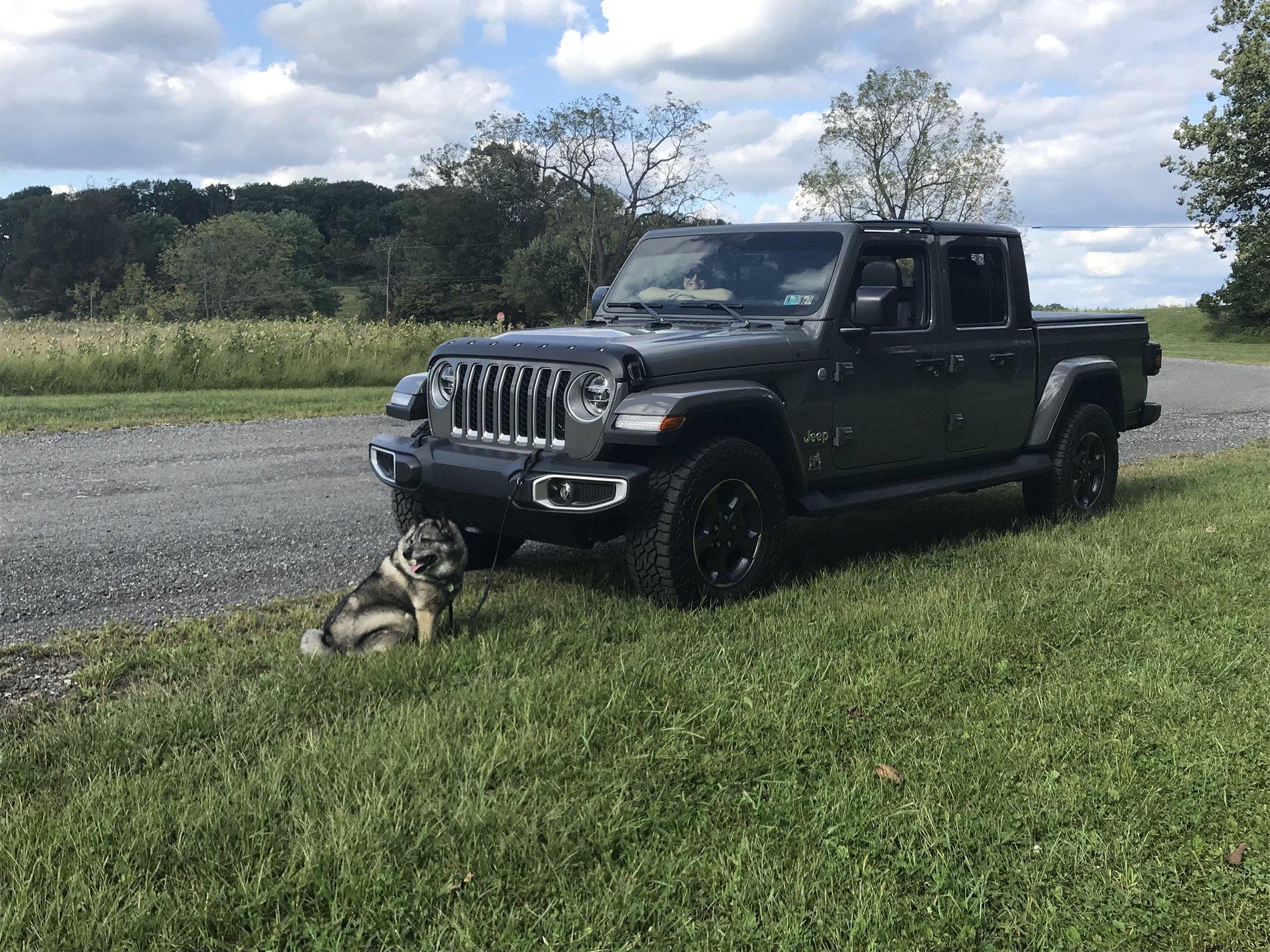 Jeep Gladiator What did you do WITH your Gladiator today? 67BD4D67-FC9A-4F3B-B960-16DB1BD85DC0