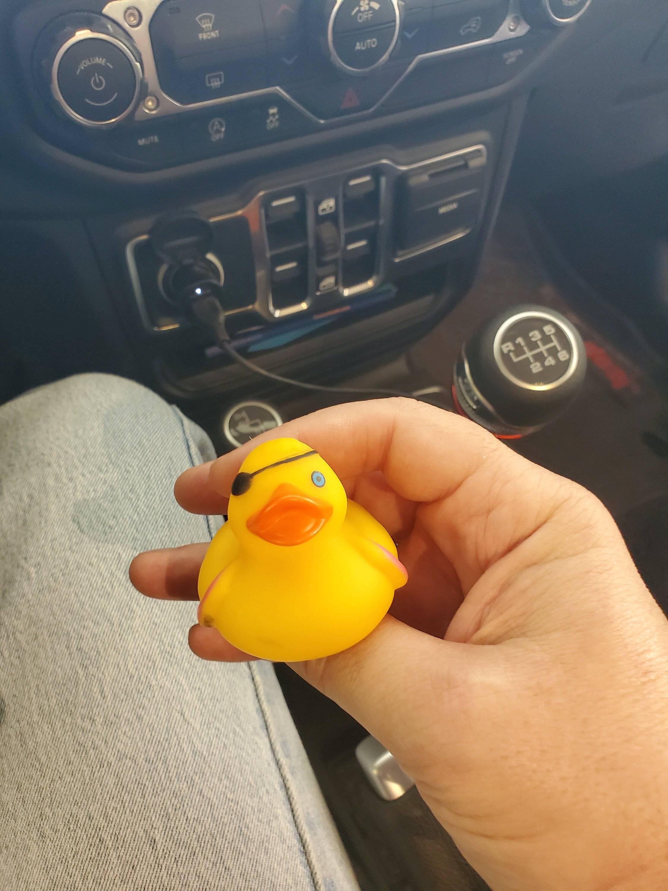 Jeep Gladiator Show me your DUCKS ! 20230409_170549