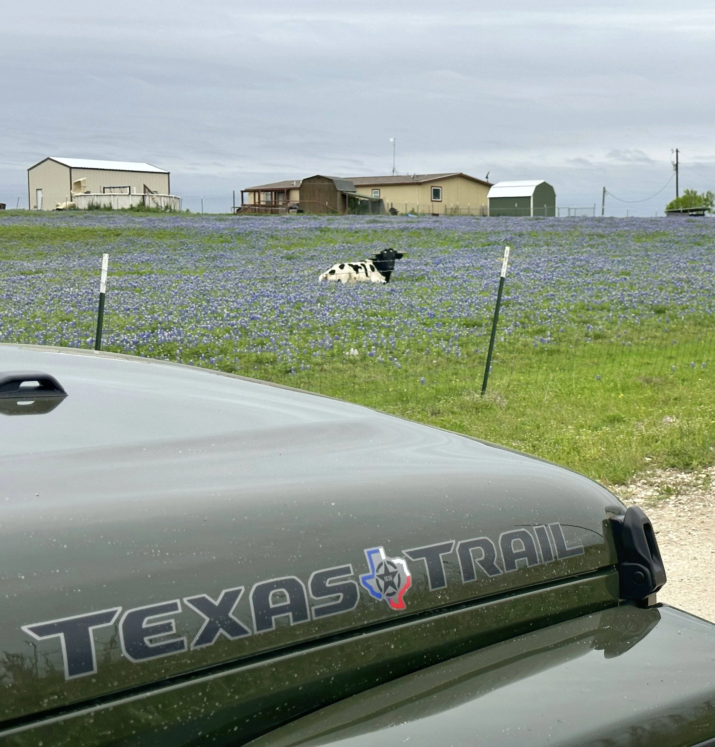 Jeep Gladiator Texas Trails in a Texas Trail IMG_0798