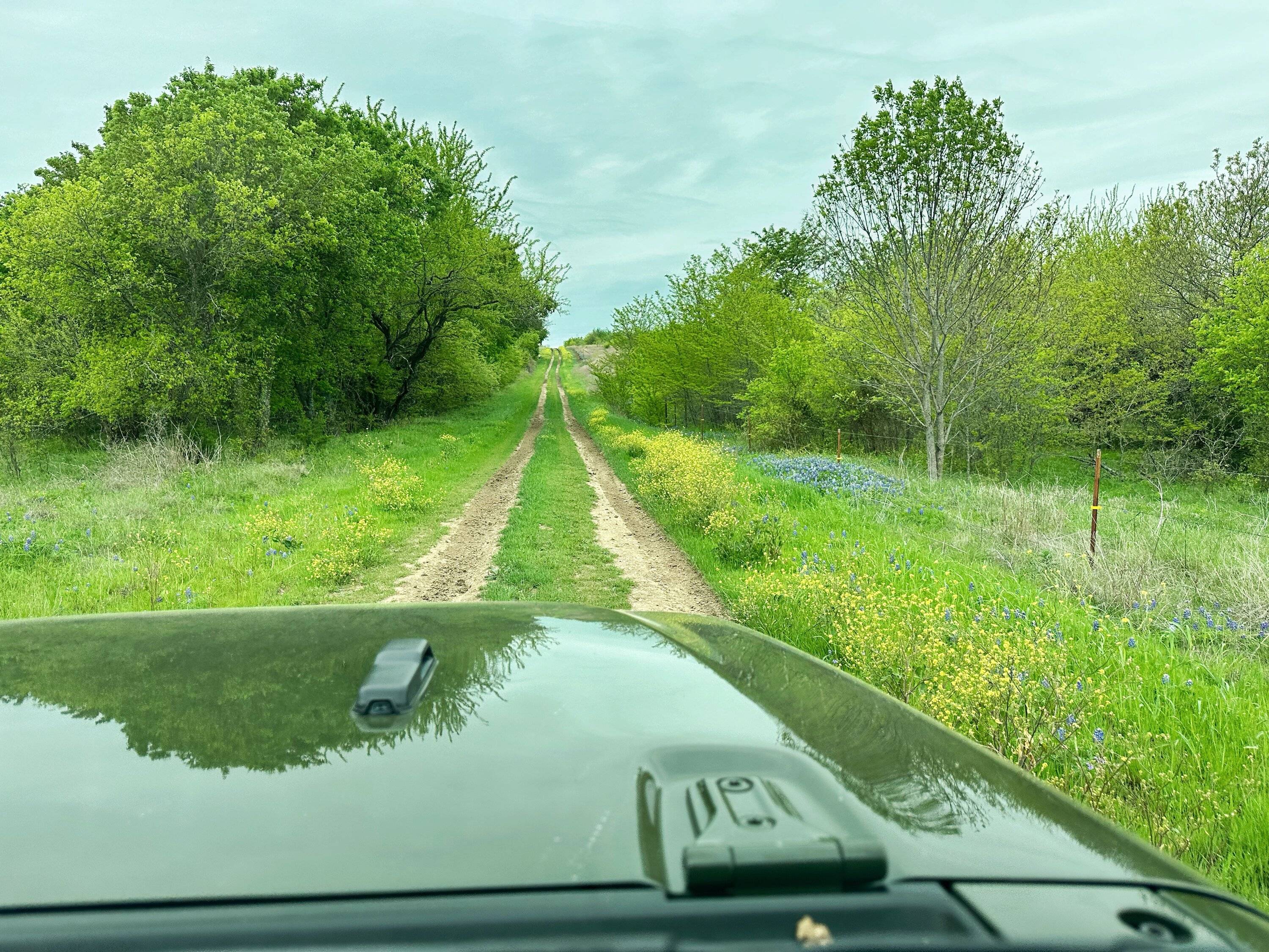 Jeep Gladiator Texas Trails in a Texas Trail IMG_0800.JPEG