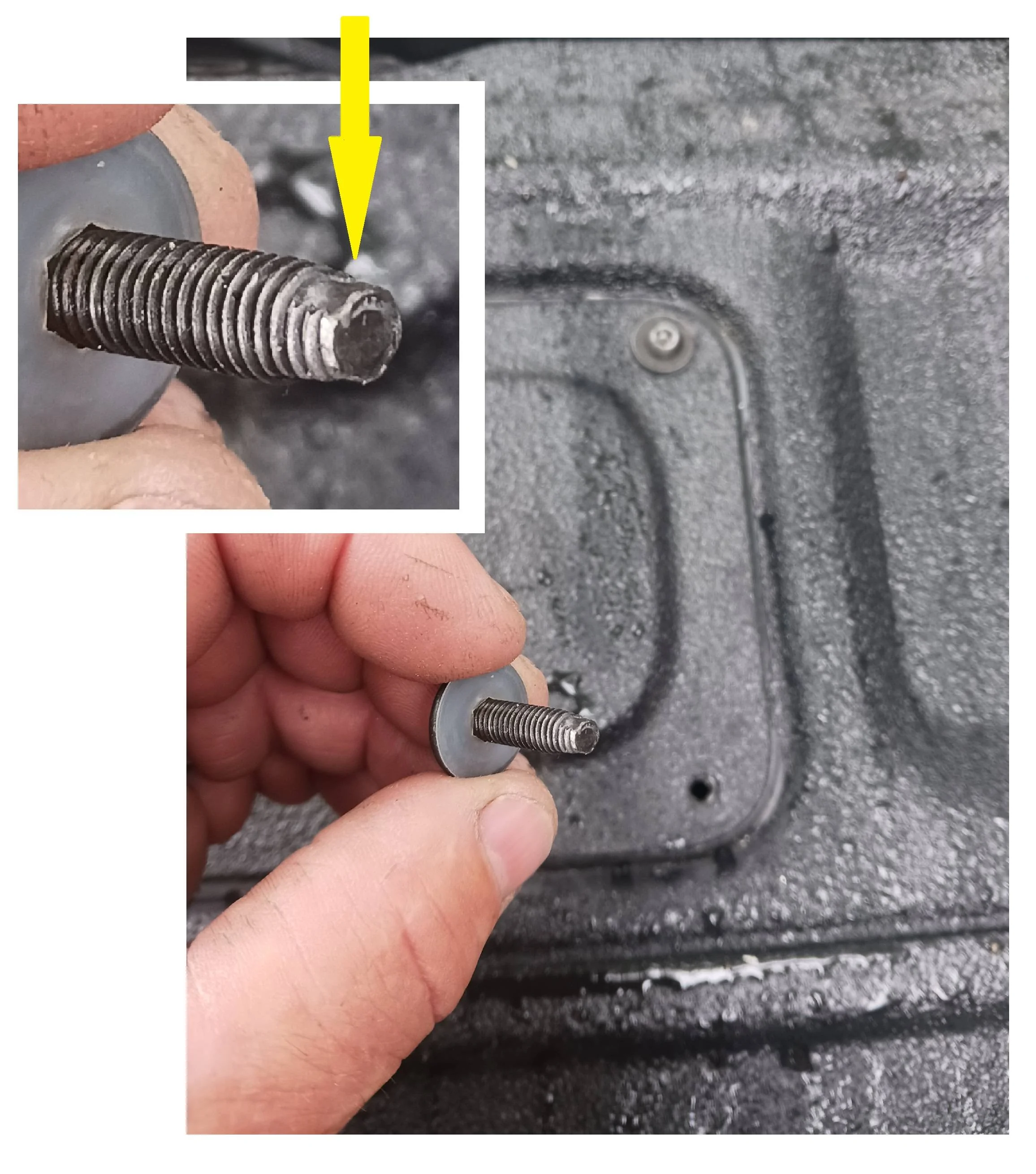 Jeep Gladiator Gladiator bed Rhino lined (holes need to be re-tapped) M6 TailgateScrews