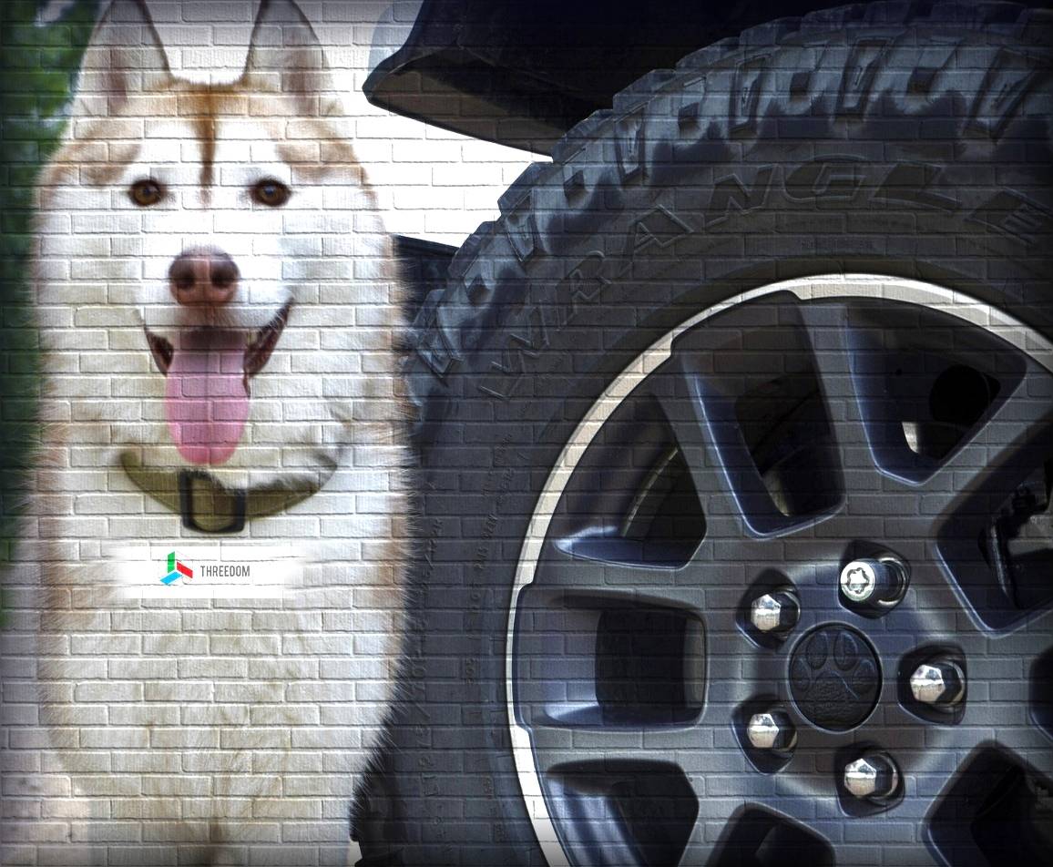 Jeep Gladiator ? ? ?Remember National Pet Day 2023 is Today!? ??? ? ? 66555