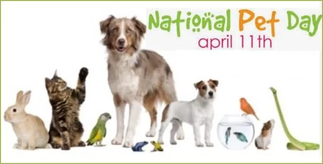 Jeep Gladiator ? ? ?Remember National Pet Day 2023 is Today!? ??? ? ? 789