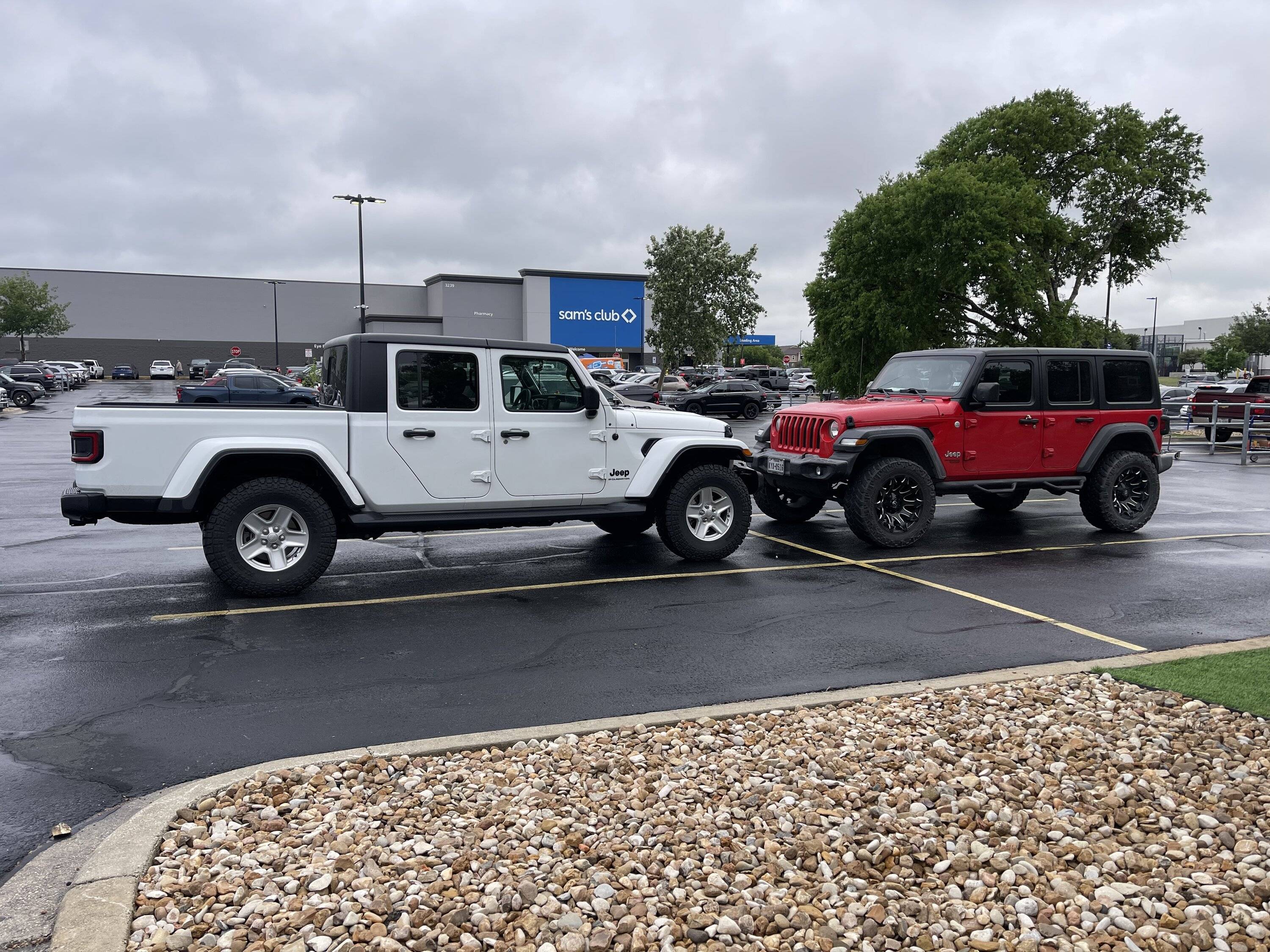 Jeep Gladiator Jeeps Parking Next To Jeeps EA2AC2DC-0680-4029-9F1E-370E51A7B5FF