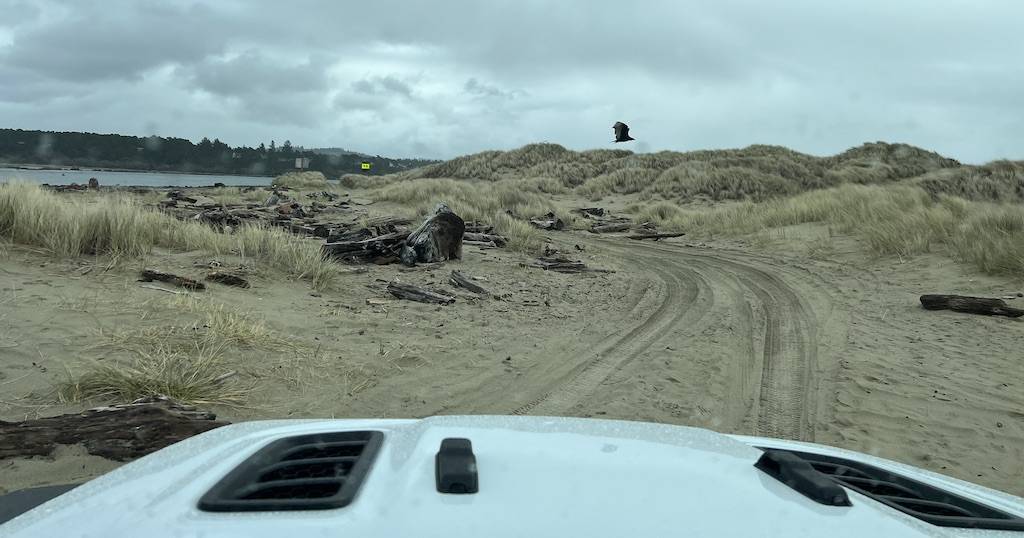 Jeep Gladiator Oregon Coast - South Jetty at the Oregon Dunes IMG_3072