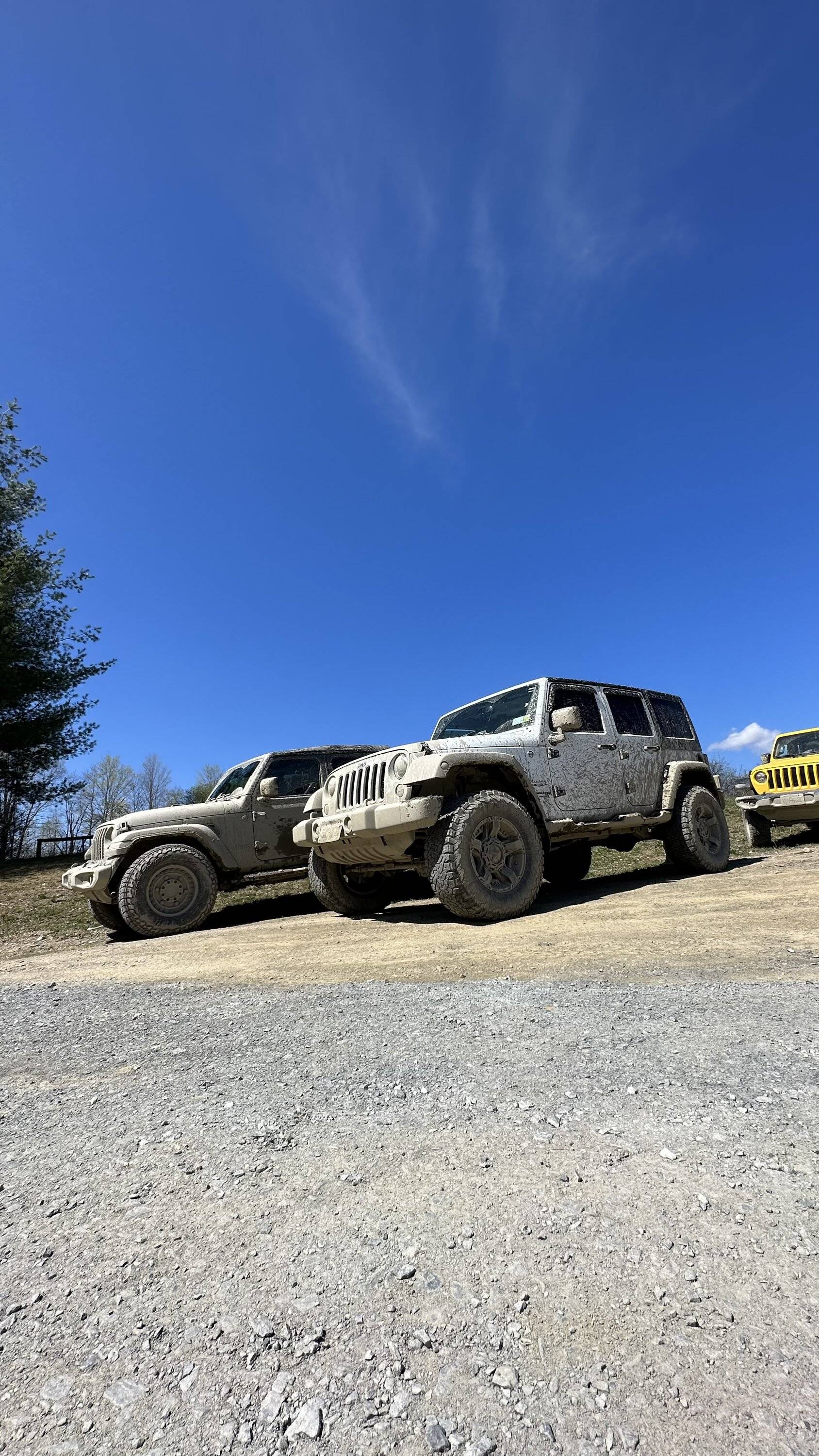 Jeep Gladiator She got to stretch her legs today FFEF6D7C-7521-415F-B8C1-93A2C5630E79