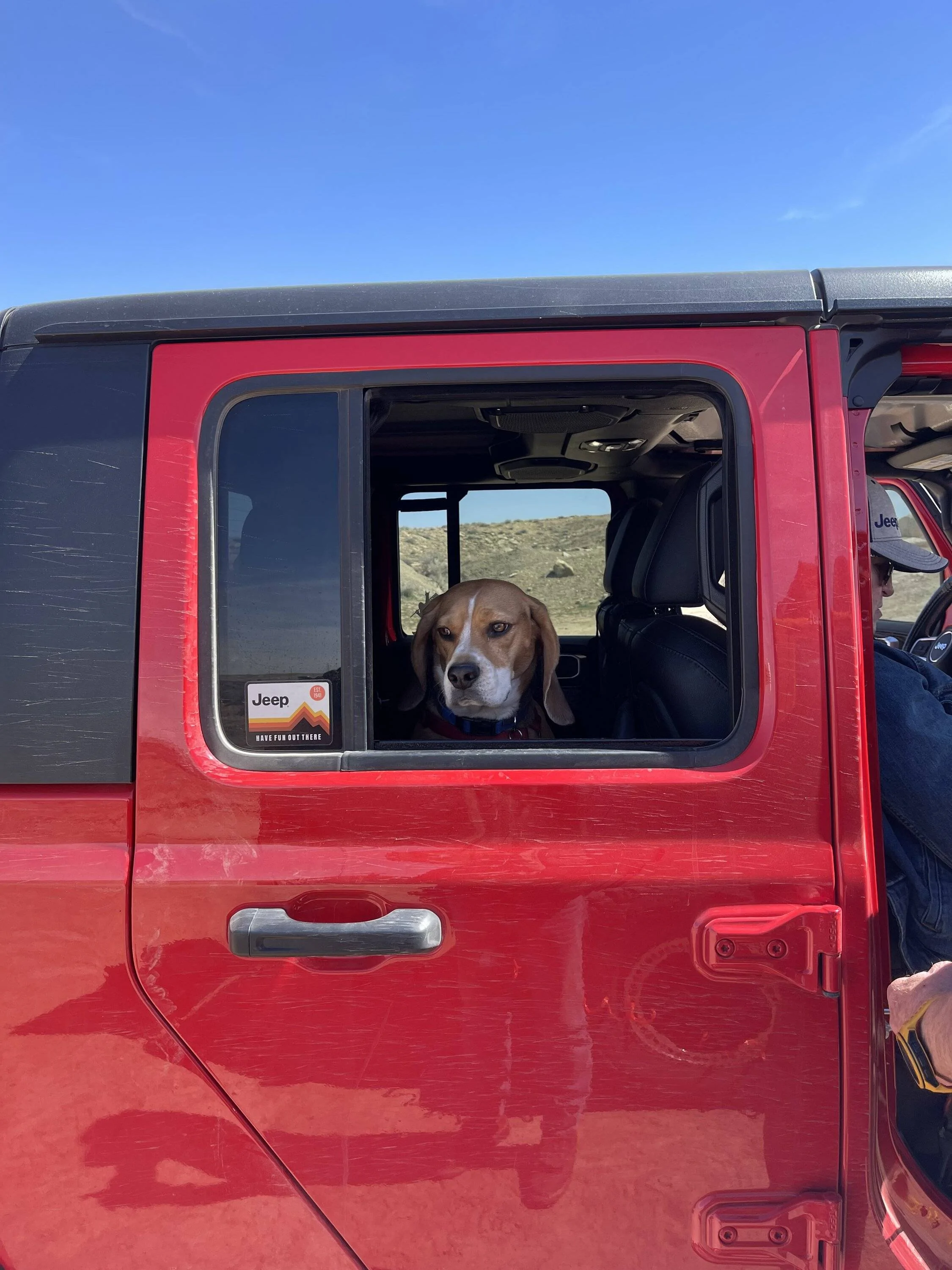 Jeep Gladiator The "No Complaints" Thread IMG_4515