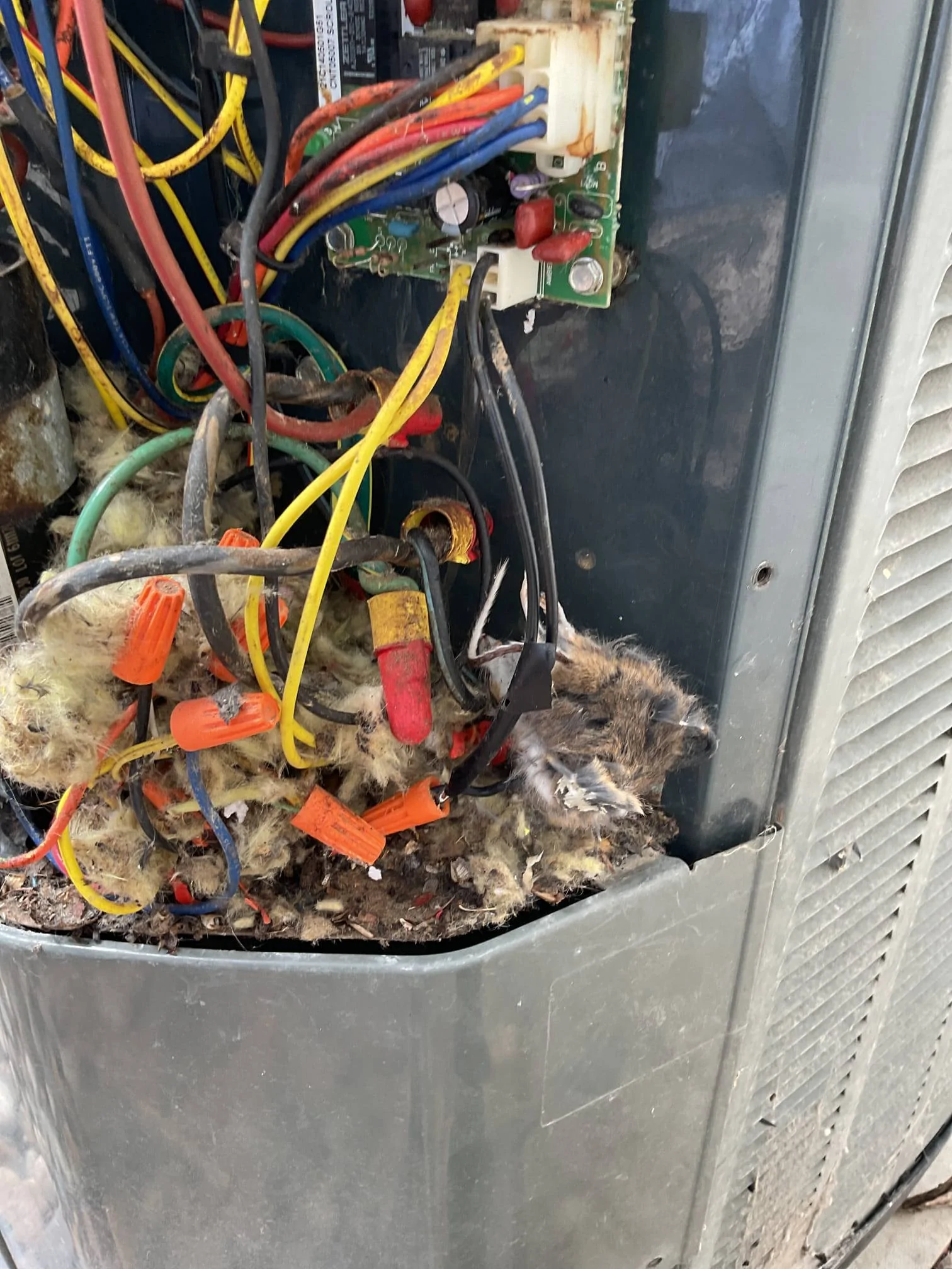 Jeep Gladiator Waay off-topic - any HVAC contractors here? 16fa6504-e655-491f-82d5-f078fd999b03_cdv_photo_003