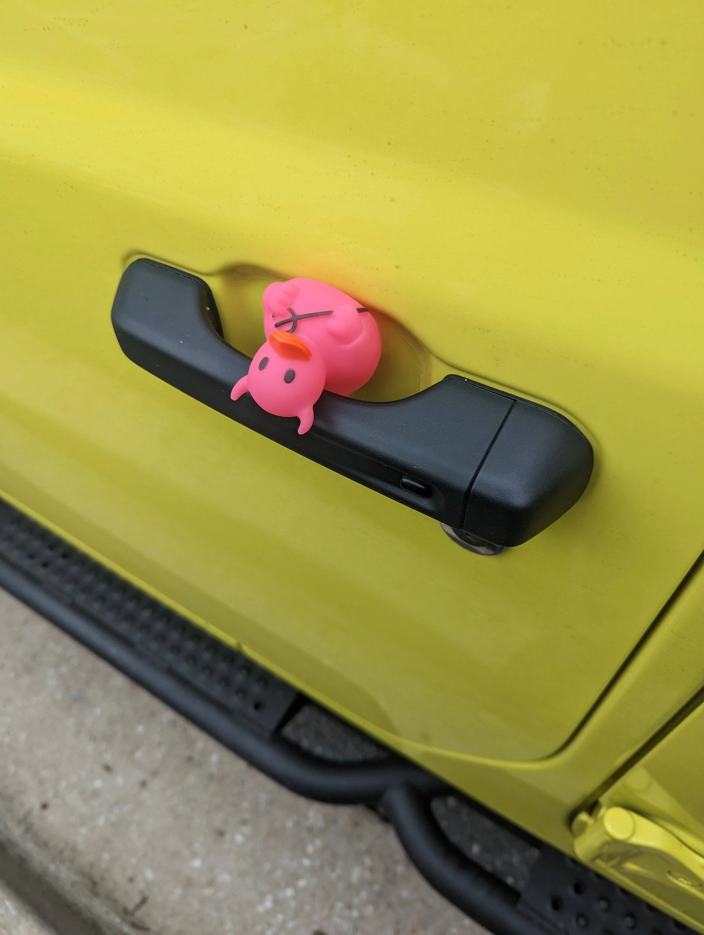 Jeep Gladiator Anyone else feel like they don't get ducked enough? PXL_20230429_175823468
