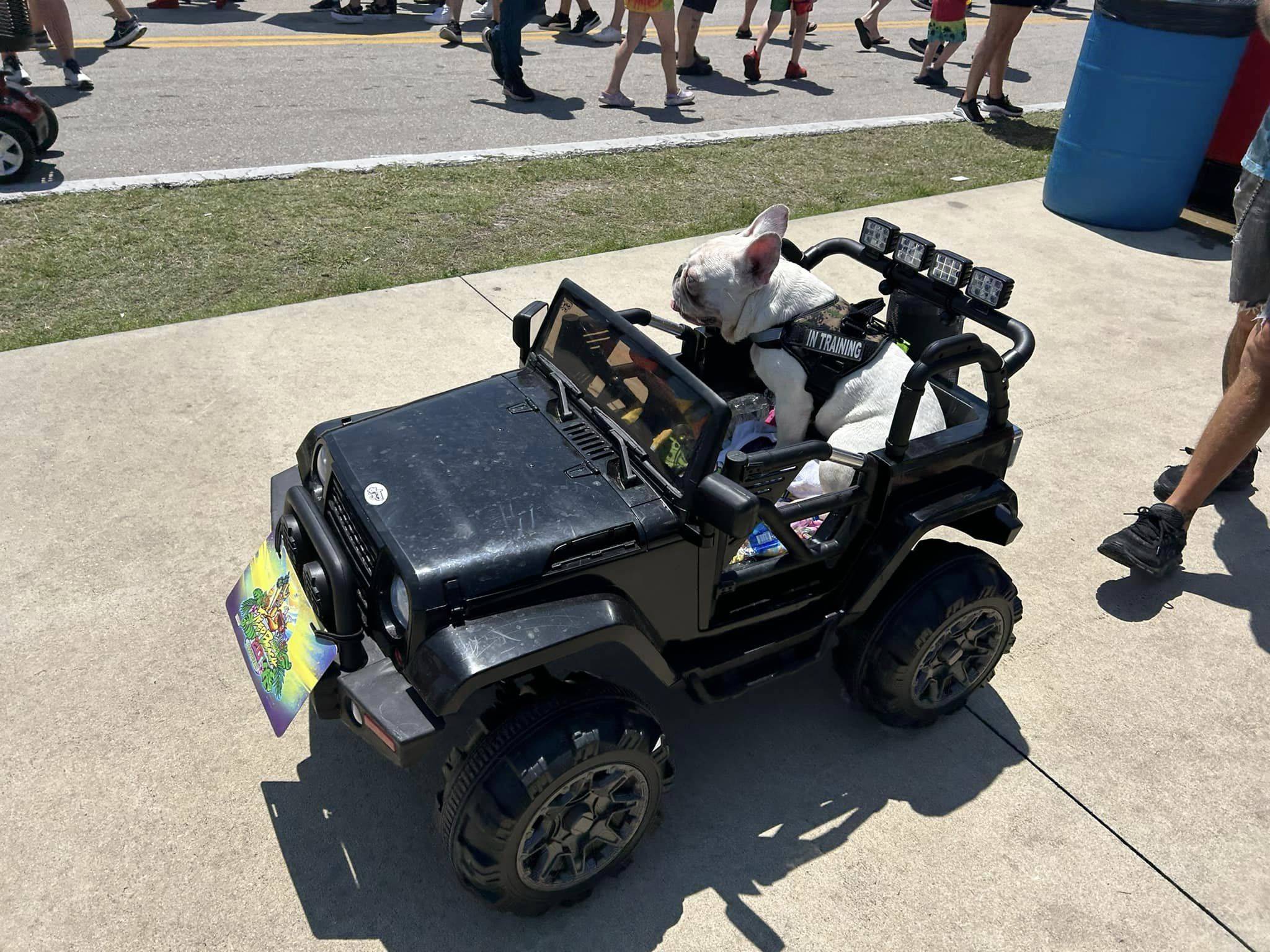 Jeep Gladiator Jeep Beach 2023 (Daytona Beach) – Post Your Photos! 343941321_177835408131191_1702490444180016663_n