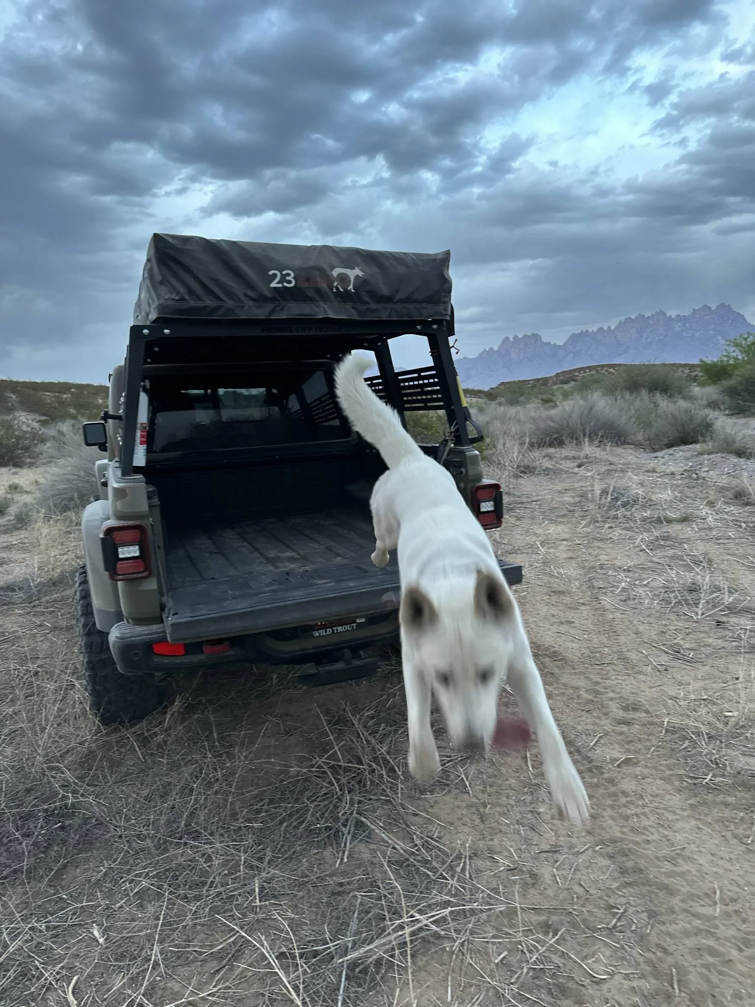 Jeep Gladiator Getting olde is not for the weak of spirit ... 4F704696-5ADB-4F65-9C63-E04D8091A72F