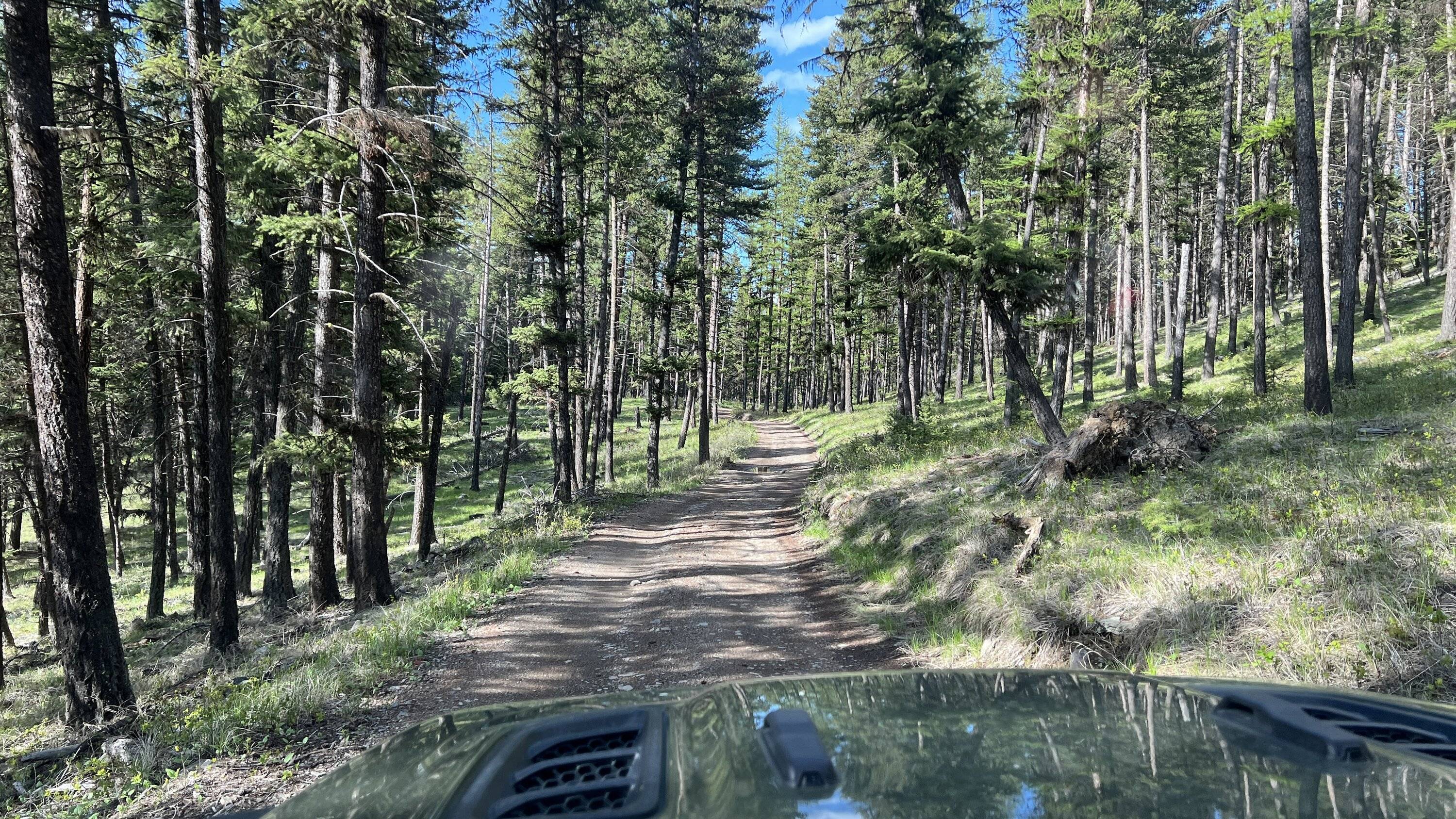 Jeep Gladiator What did you do WITH your Gladiator today? 8752642C-0C6E-44BF-9611-815C54F74AD2