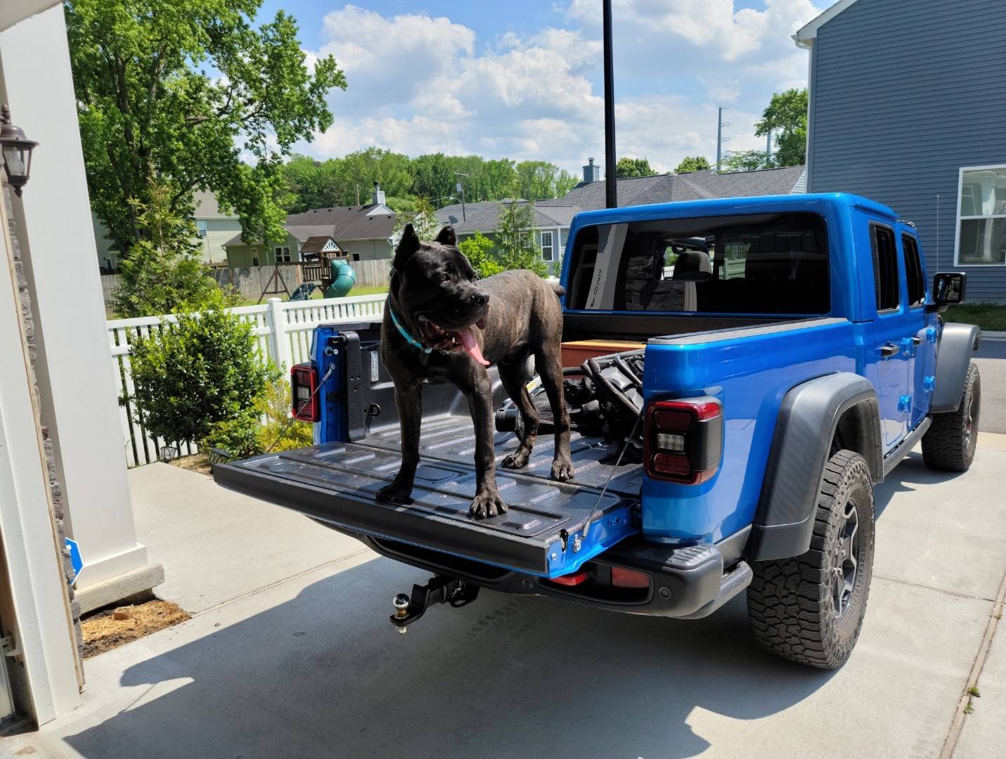 Jeep Gladiator Issue loading dog into backseat Screenshot_20230508_152630_Photos