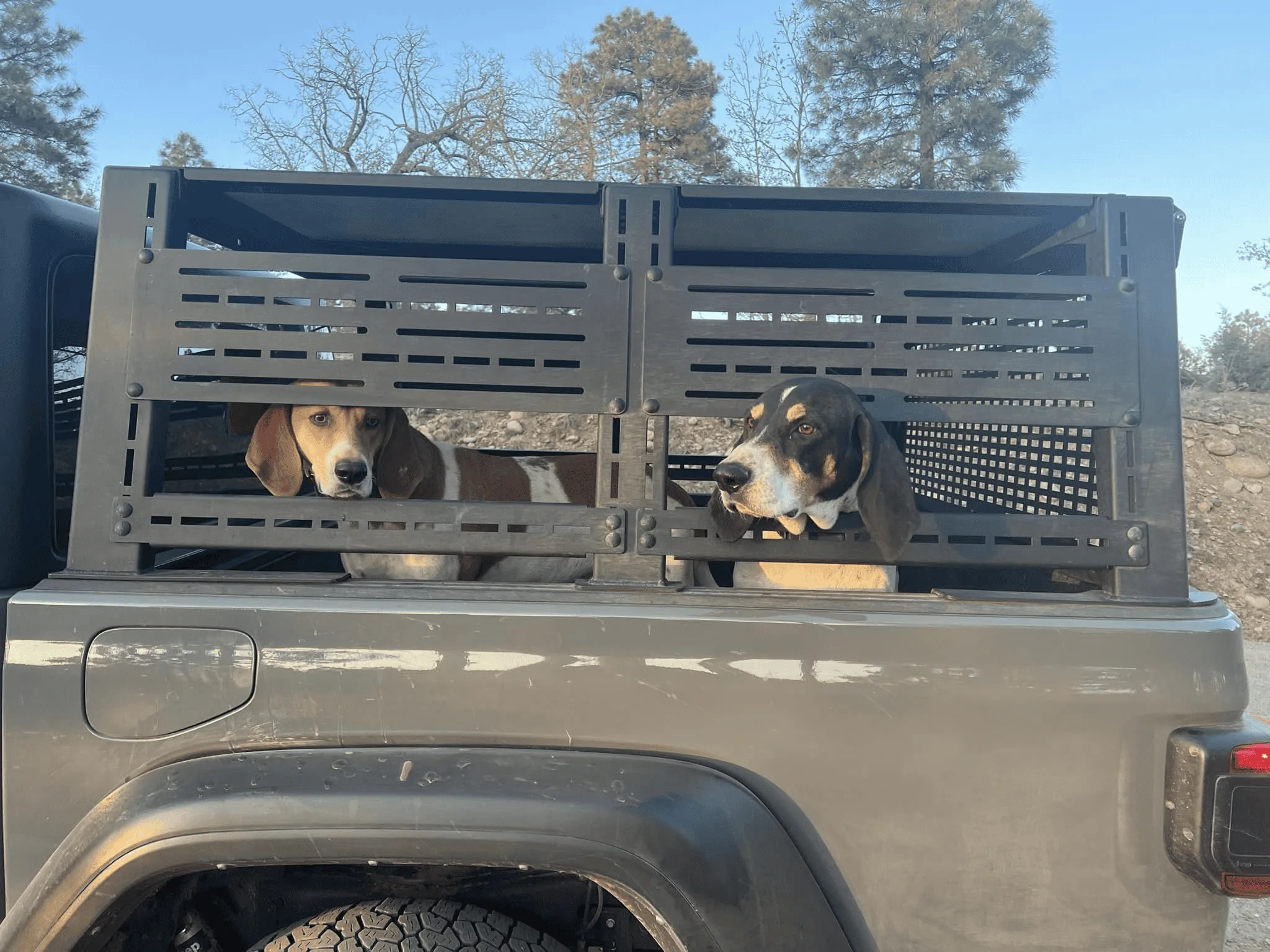 Jeep Gladiator Issue loading dog into backseat 1684335952345
