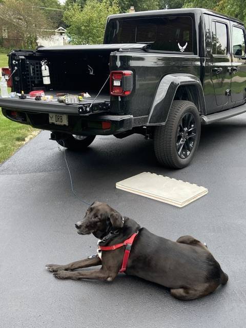 Jeep Gladiator Issue loading dog into backseat IMG_1096