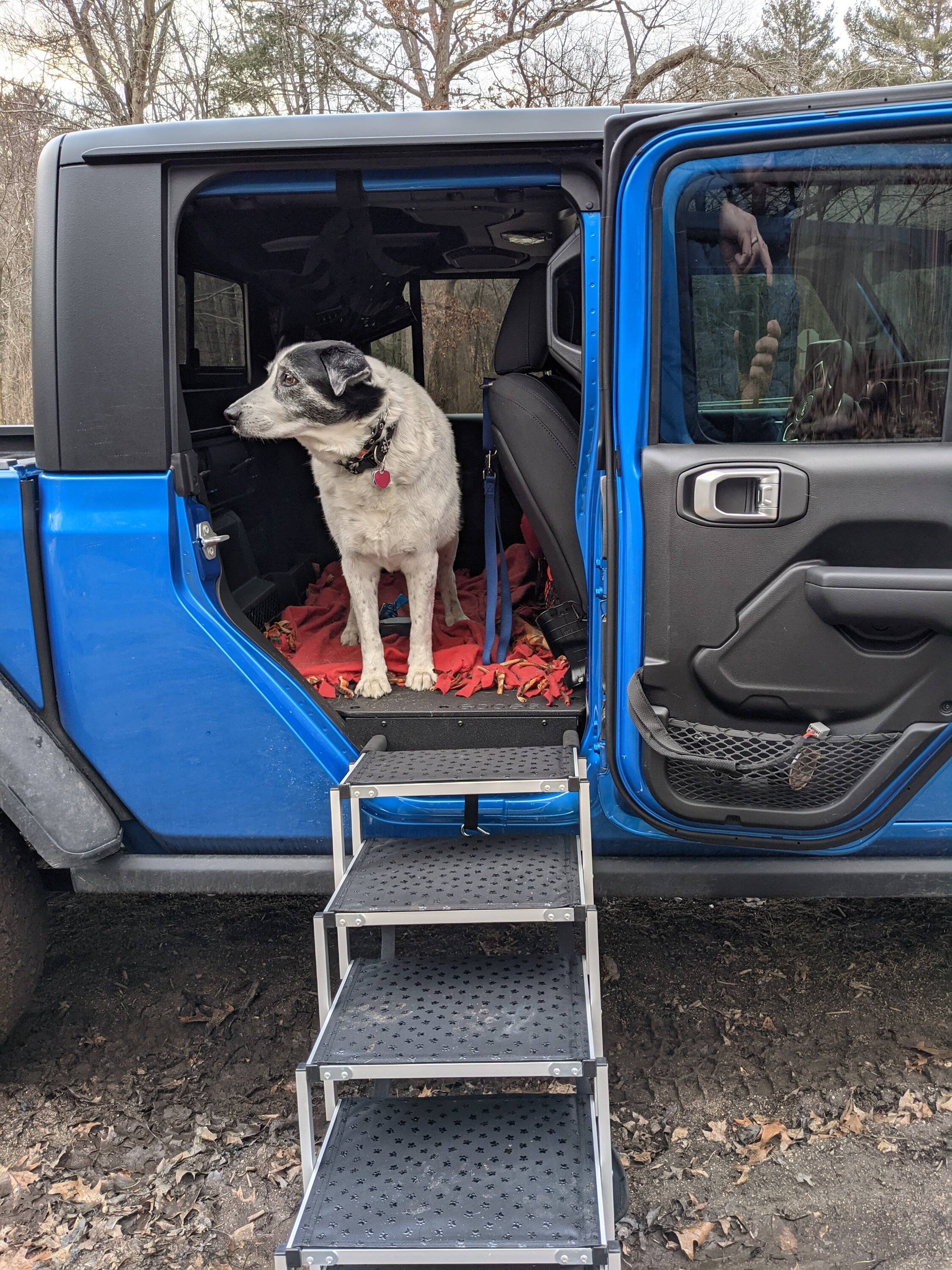 Jeep Gladiator Issue loading dog into backseat PXL_20220219_213431767