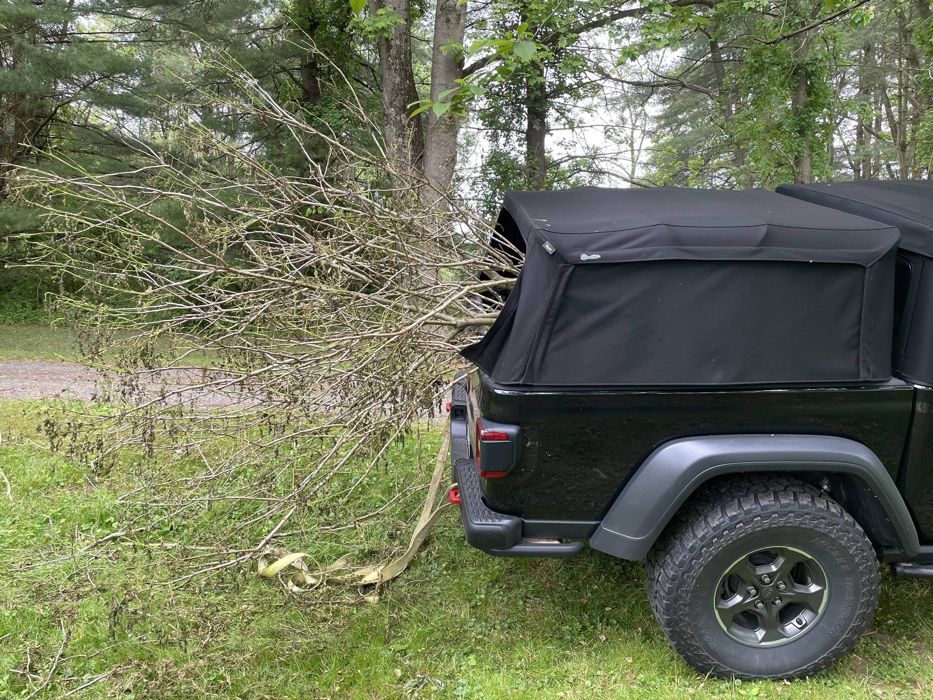 Jeep Gladiator What did you do WITH your Gladiator today? E7E4FAF6-0D2D-4BBB-9CF1-F9B8354847DD