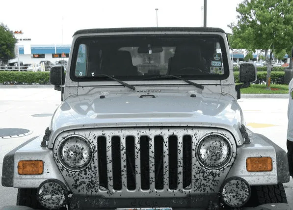 Jeep Gladiator Mixed feelings…the good with the bad of Jeep ownership 1684768241538