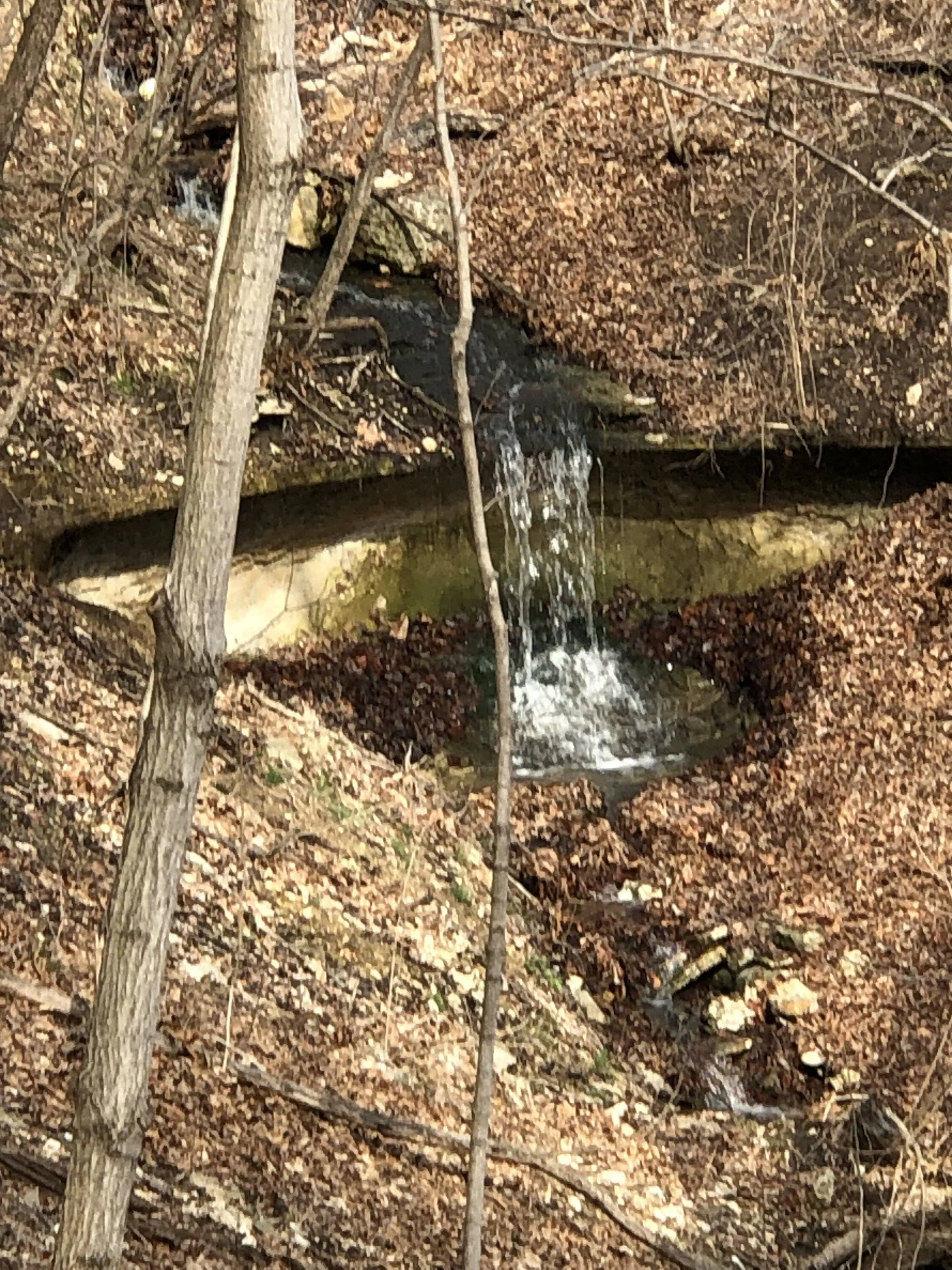 Jeep Gladiator Gladiator Expedition Rigs IMG_8052
